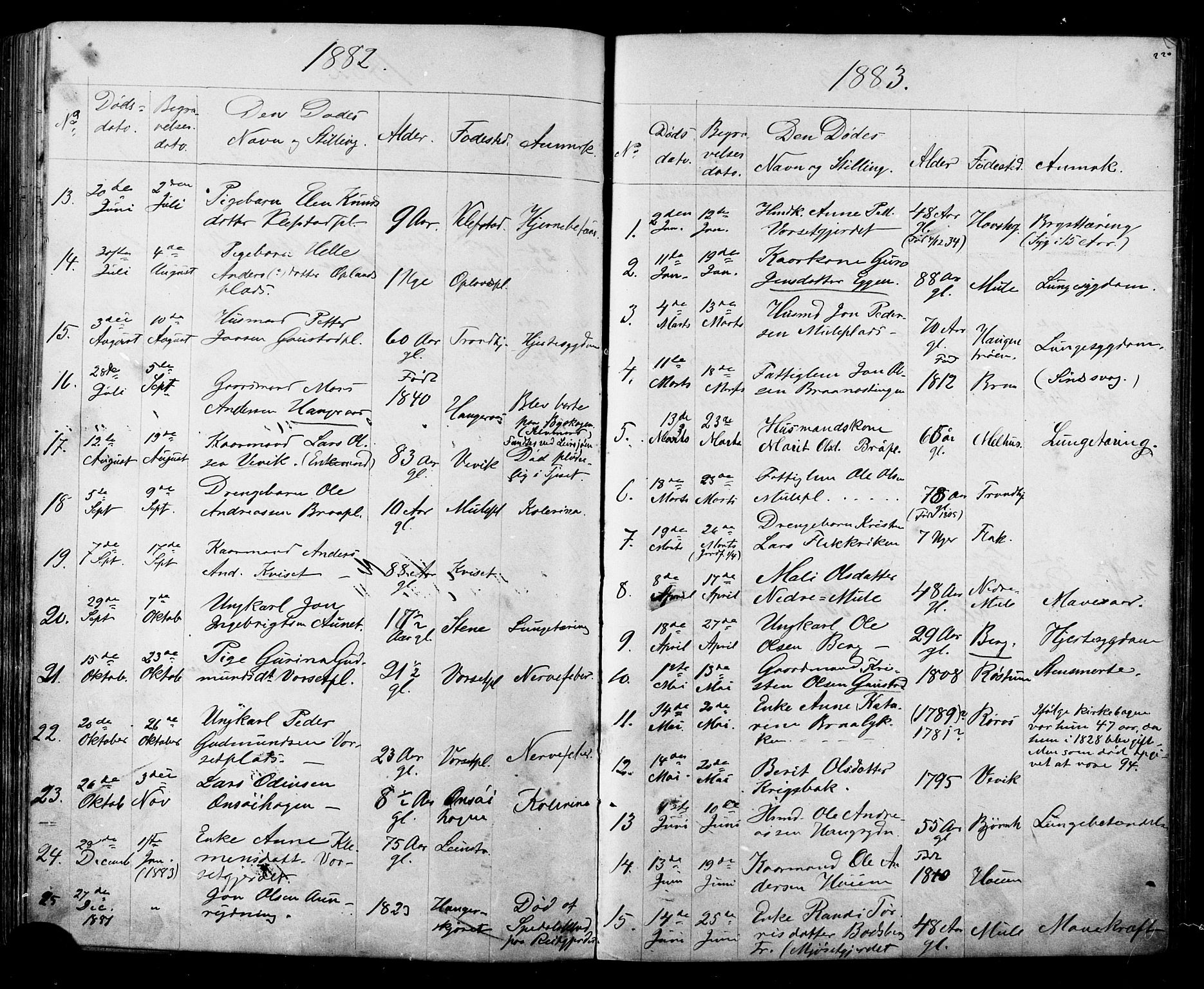 Ministerialprotokoller, klokkerbøker og fødselsregistre - Sør-Trøndelag, SAT/A-1456/612/L0387: Parish register (copy) no. 612C03, 1874-1908, p. 220
