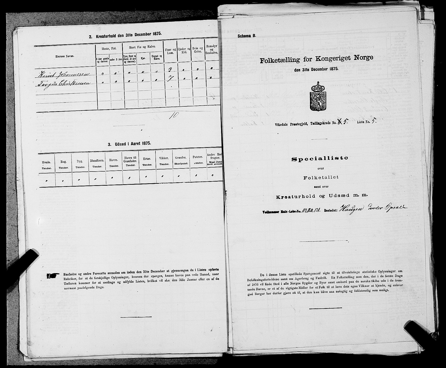 SAST, 1875 census for 1157P Vikedal, 1875, p. 543