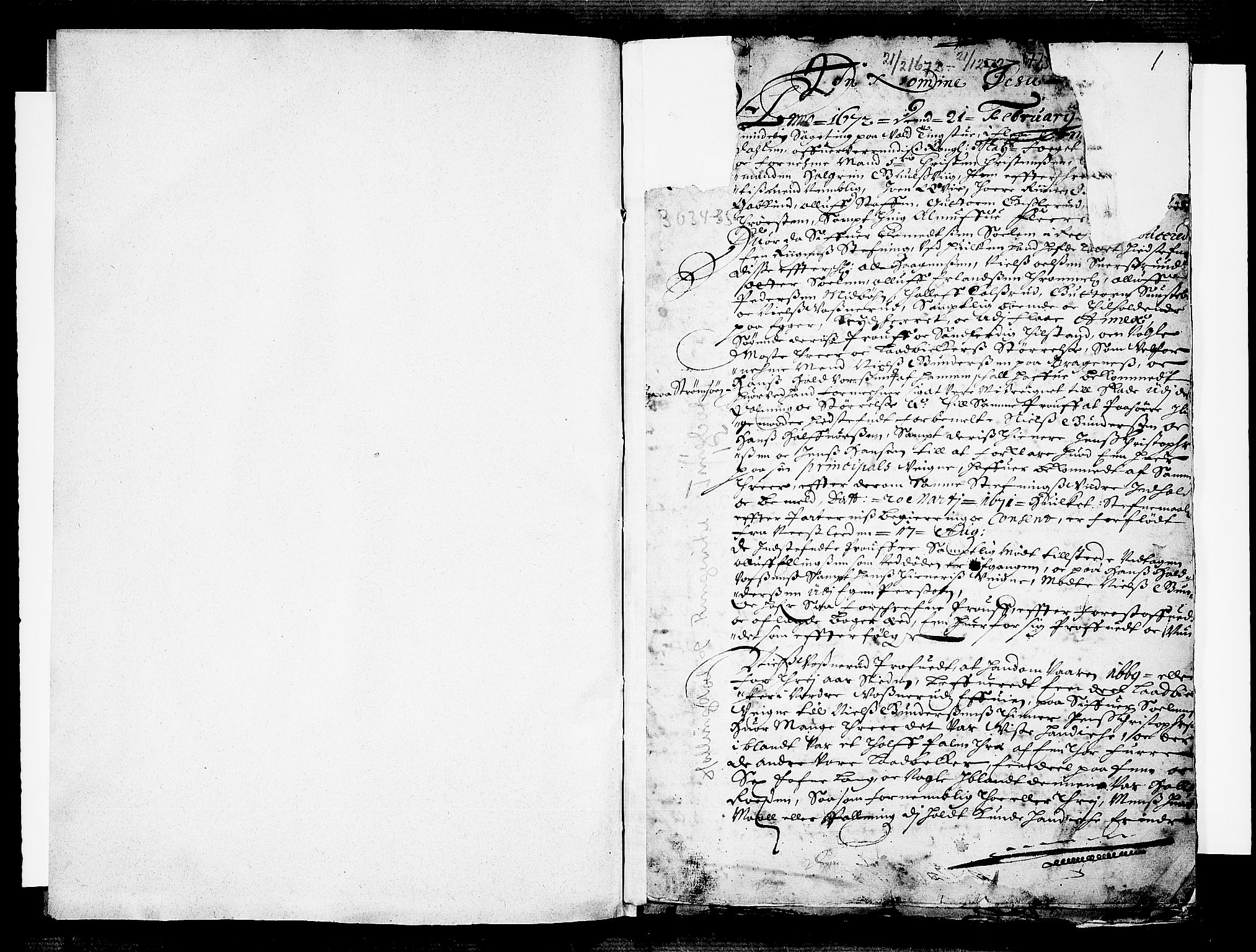 Ringerike og Hallingdal sorenskriveri, SAKO/A-81/F/Fa/Fab/L0002: Tingbok - Sorenskriveriet, 1672-1673, p. 1