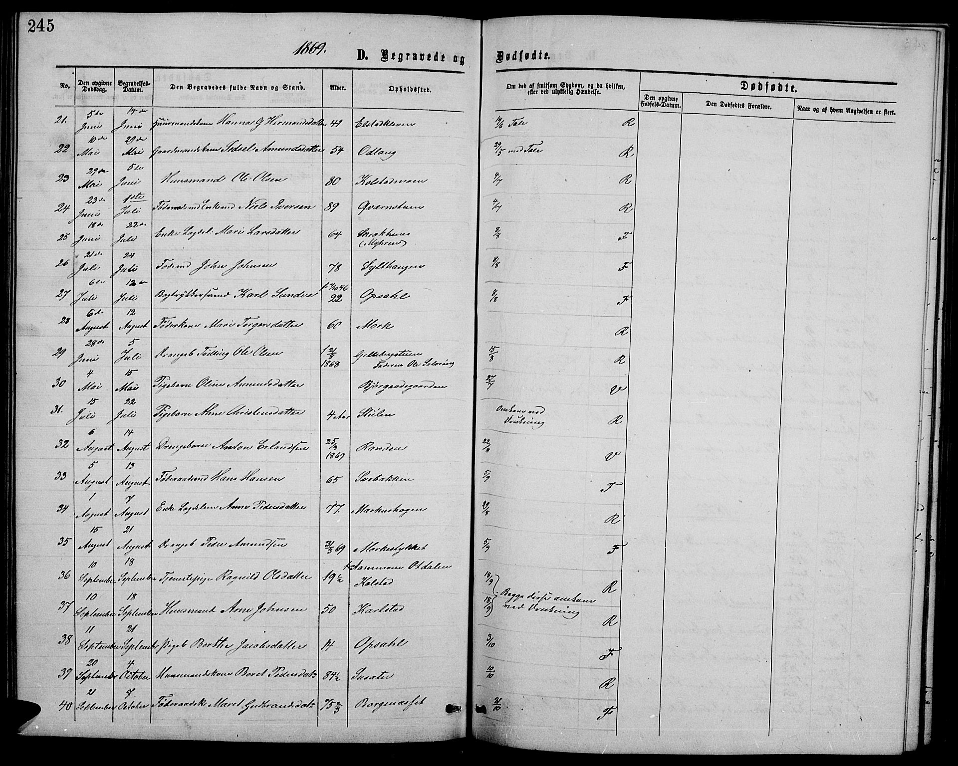 Ringebu prestekontor, SAH/PREST-082/H/Ha/Hab/L0004: Parish register (copy) no. 4, 1867-1879, p. 245