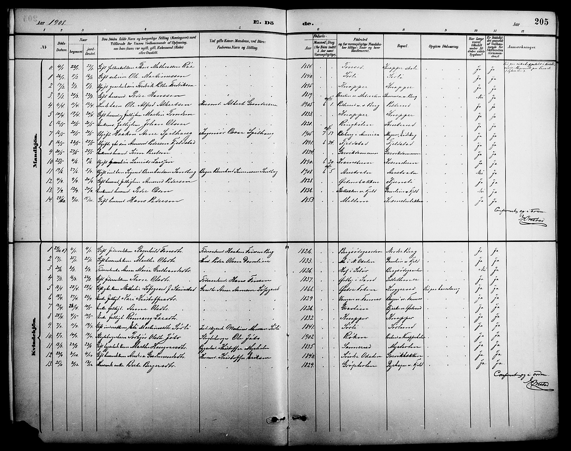 Nord-Odal prestekontor, AV/SAH-PREST-032/H/Ha/Hab/L0002: Parish register (copy) no. 2, 1895-1921, p. 205