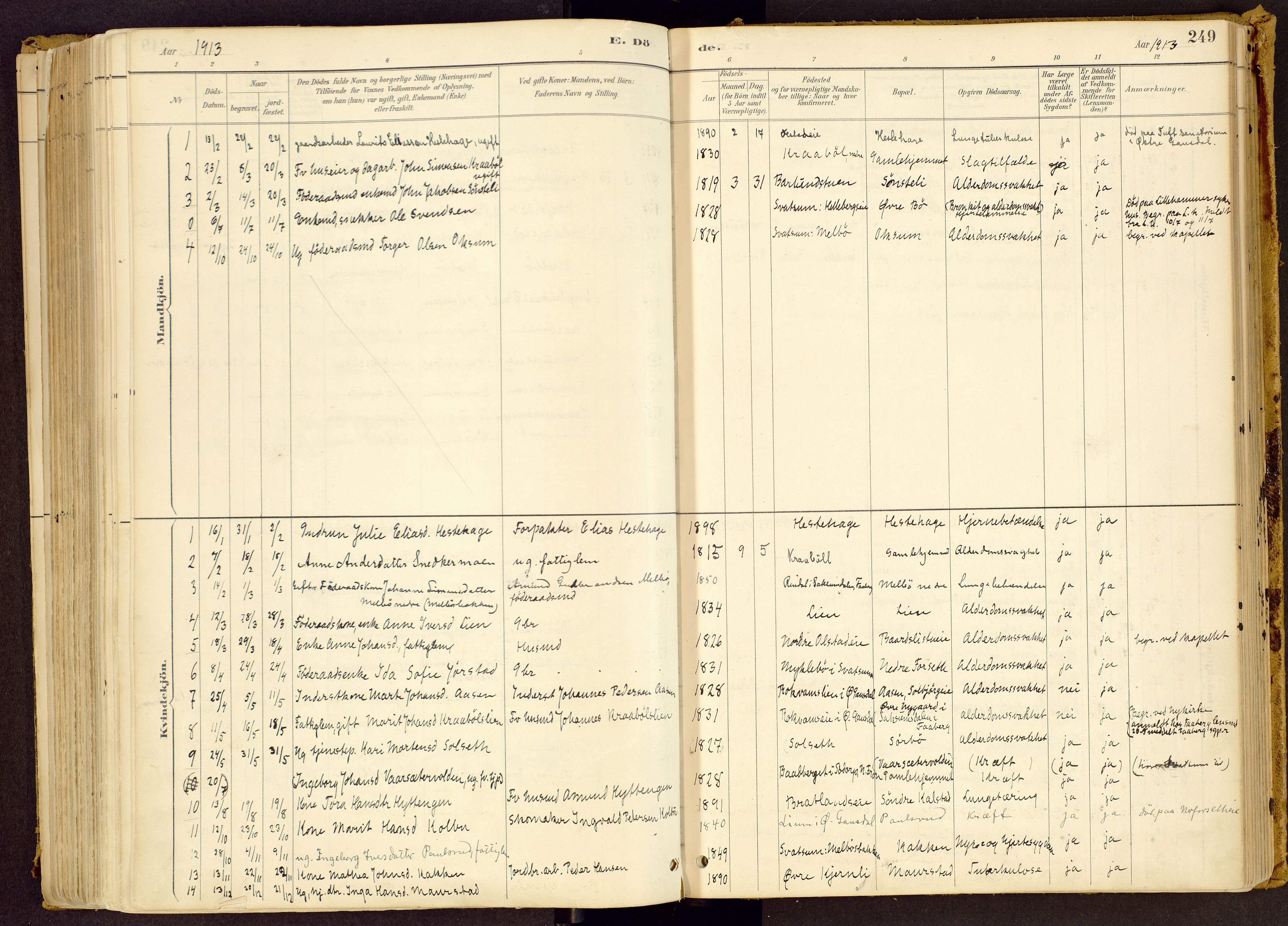 Vestre Gausdal prestekontor, SAH/PREST-094/H/Ha/Haa/L0001: Parish register (official) no. 1, 1887-1914, p. 249