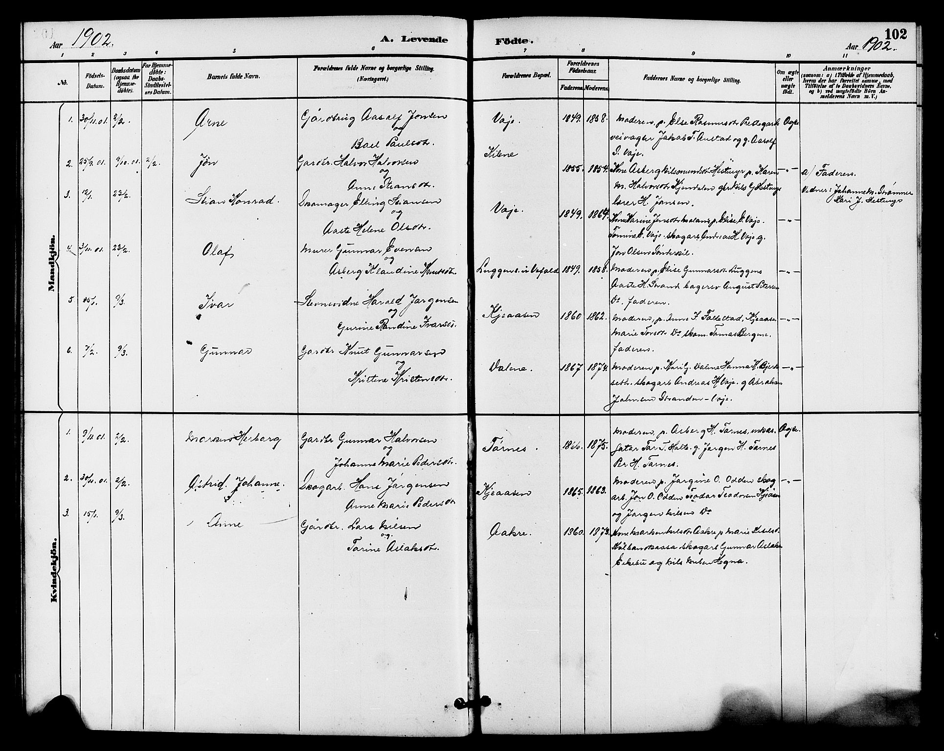 Drangedal kirkebøker, SAKO/A-258/G/Ga/L0003: Parish register (copy) no. I 3, 1887-1906, p. 102