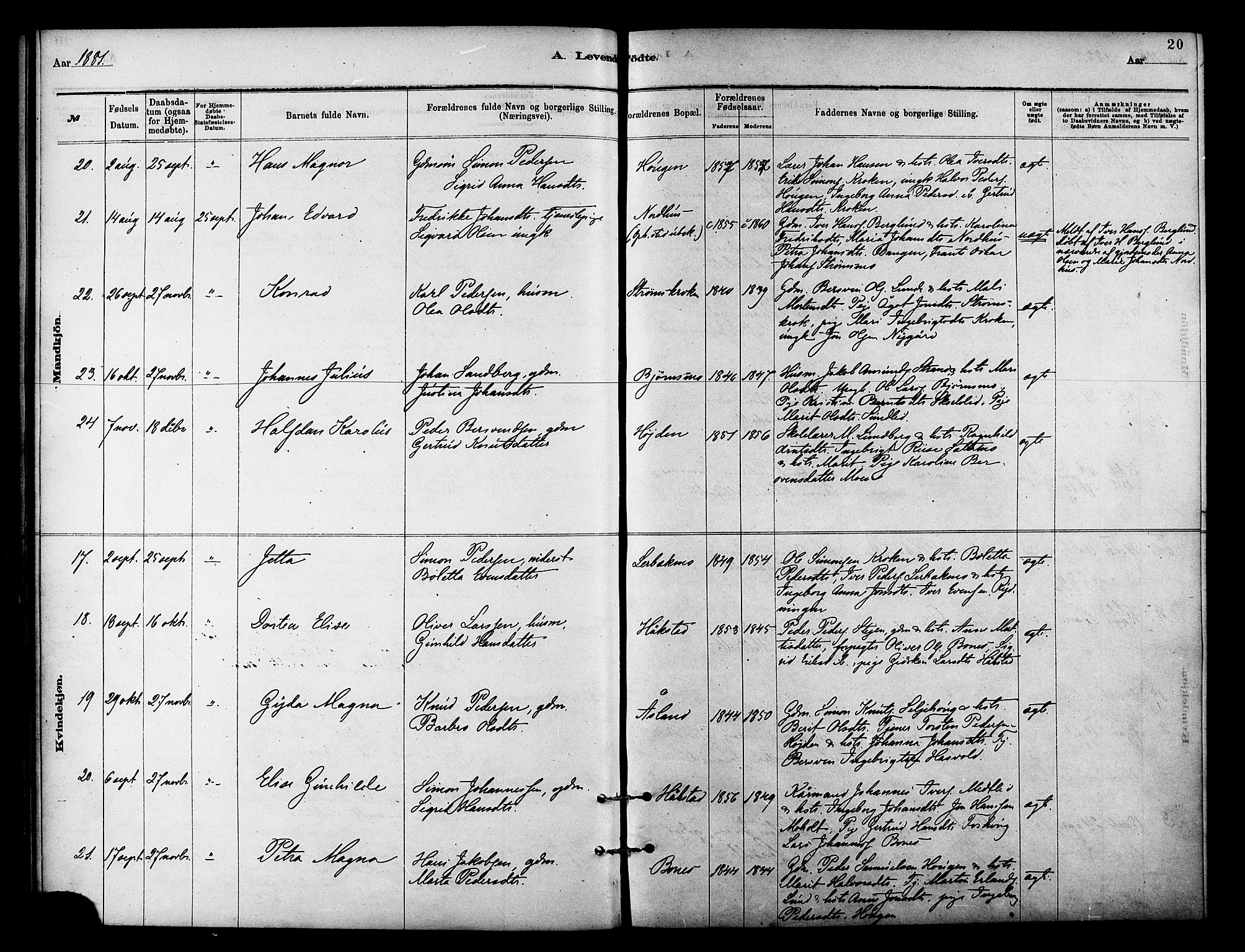 Målselv sokneprestembete, SATØ/S-1311/G/Ga/Gaa/L0009kirke: Parish register (official) no. 9, 1878-1889, p. 20