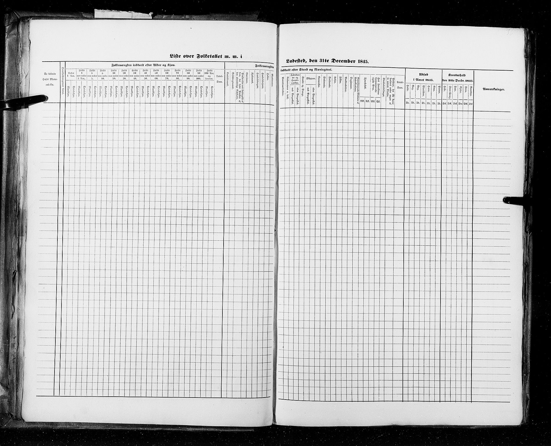 RA, Census 1845, vol. 11: Cities, 1845, p. 36