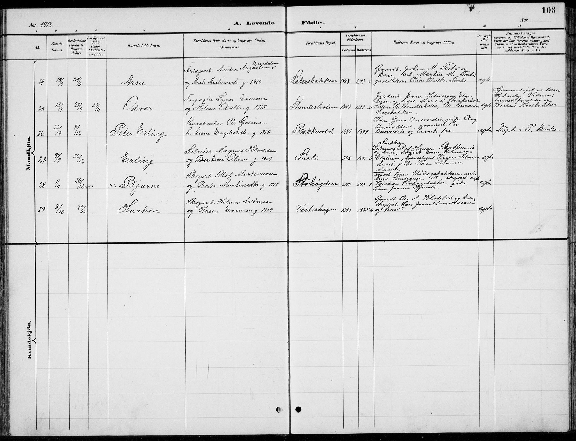 Romedal prestekontor, AV/SAH-PREST-004/L/L0013: Parish register (copy) no. 13, 1896-1937, p. 103