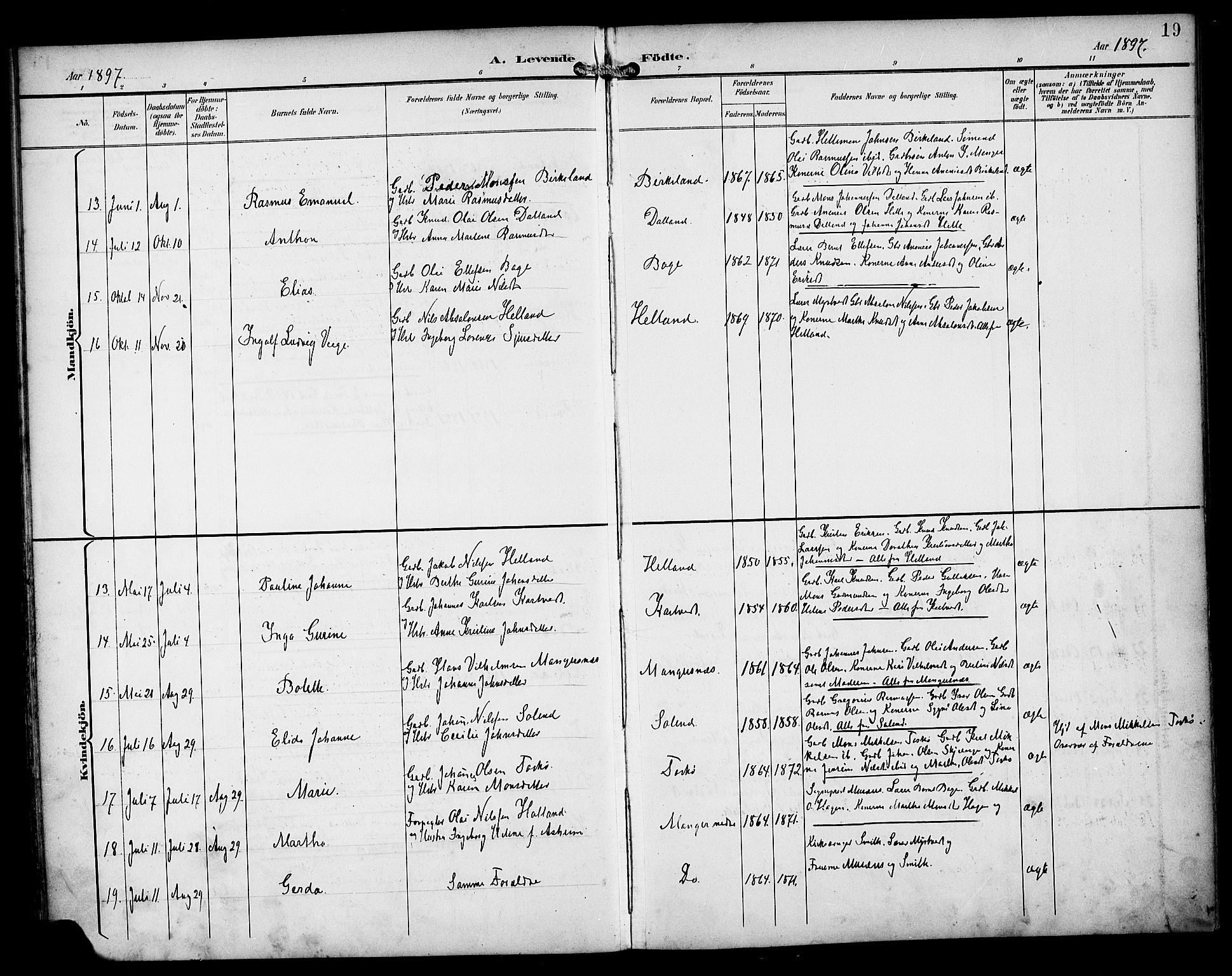 Manger sokneprestembete, AV/SAB-A-76801/H/Haa: Parish register (official) no. B 2, 1893-1906, p. 19