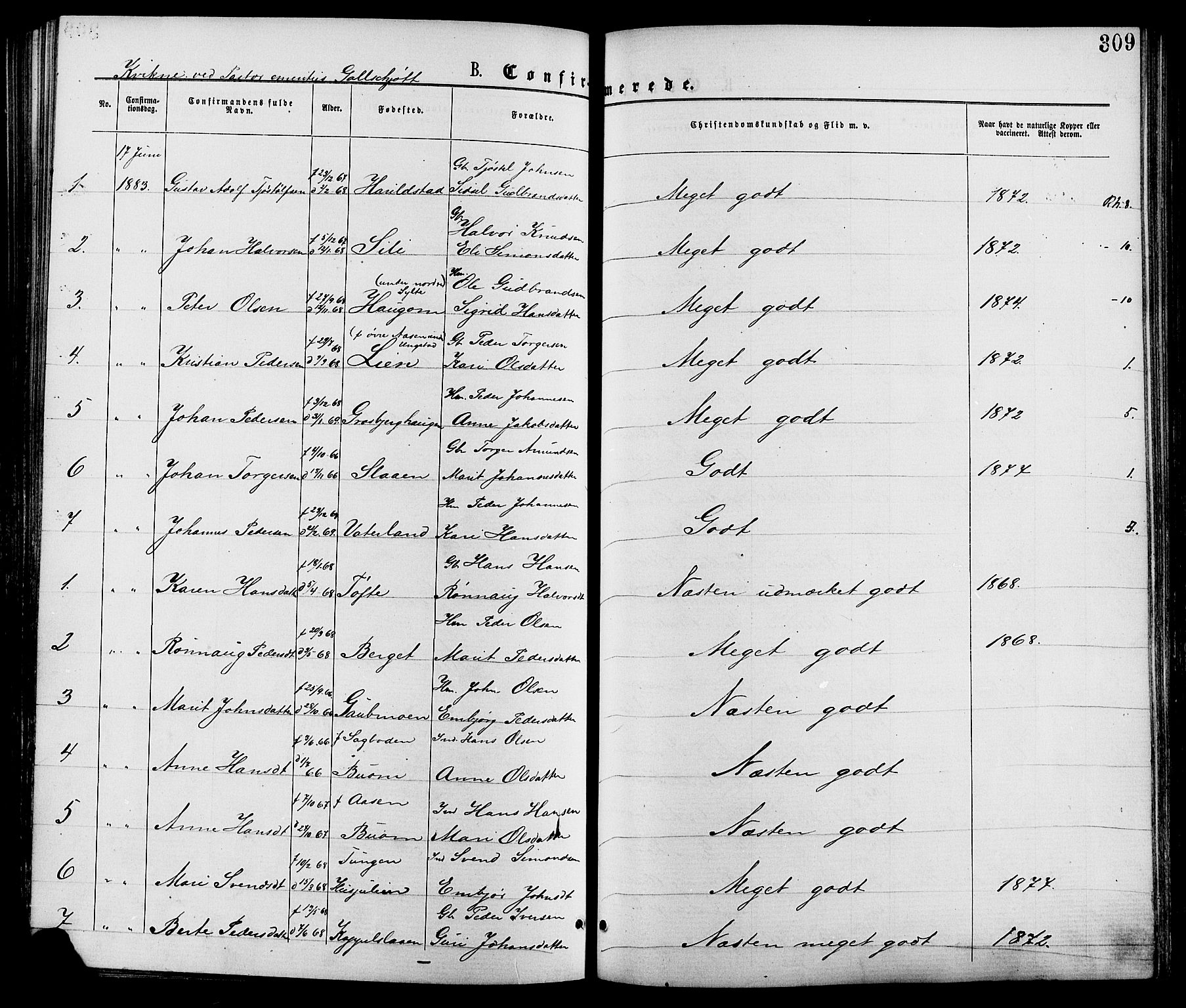 Nord-Fron prestekontor, AV/SAH-PREST-080/H/Ha/Haa/L0002: Parish register (official) no. 2, 1865-1883, p. 309