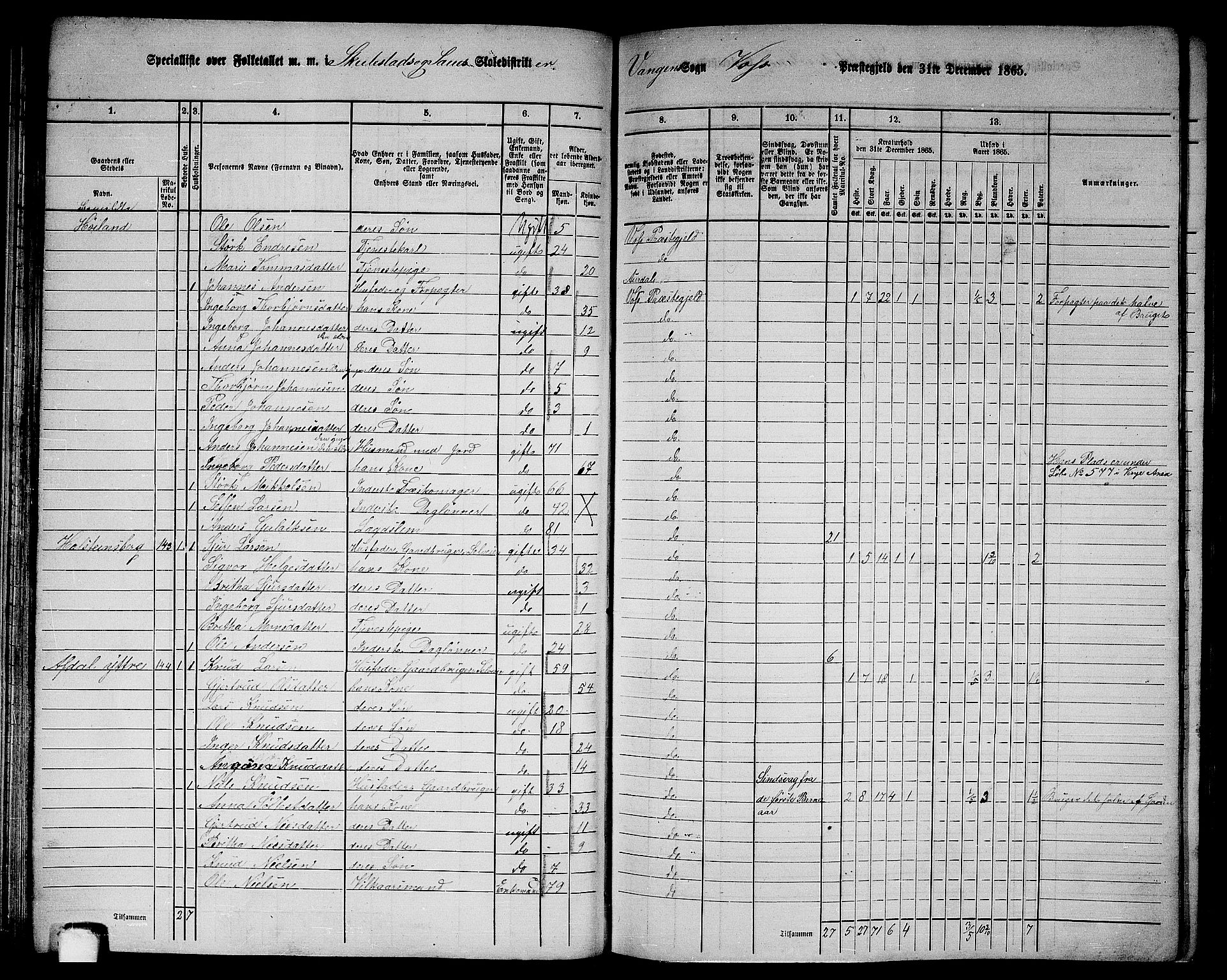 RA, 1865 census for Voss, 1865, p. 81