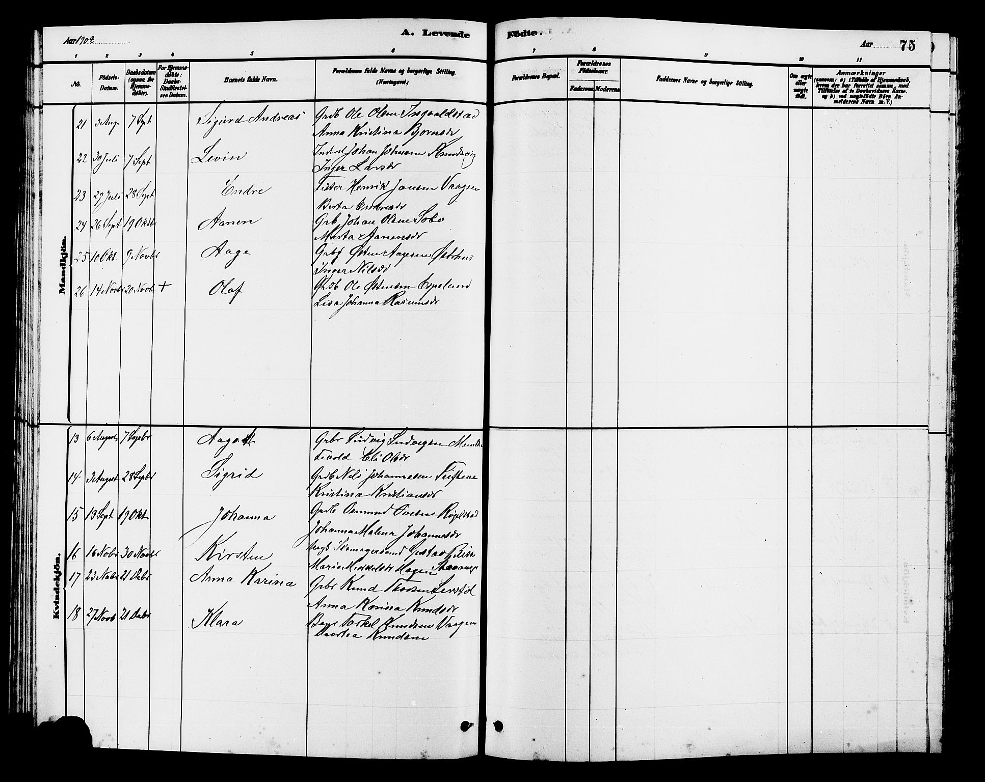 Hjelmeland sokneprestkontor, SAST/A-101843/01/V/L0007: Parish register (copy) no. B 7, 1880-1909, p. 75
