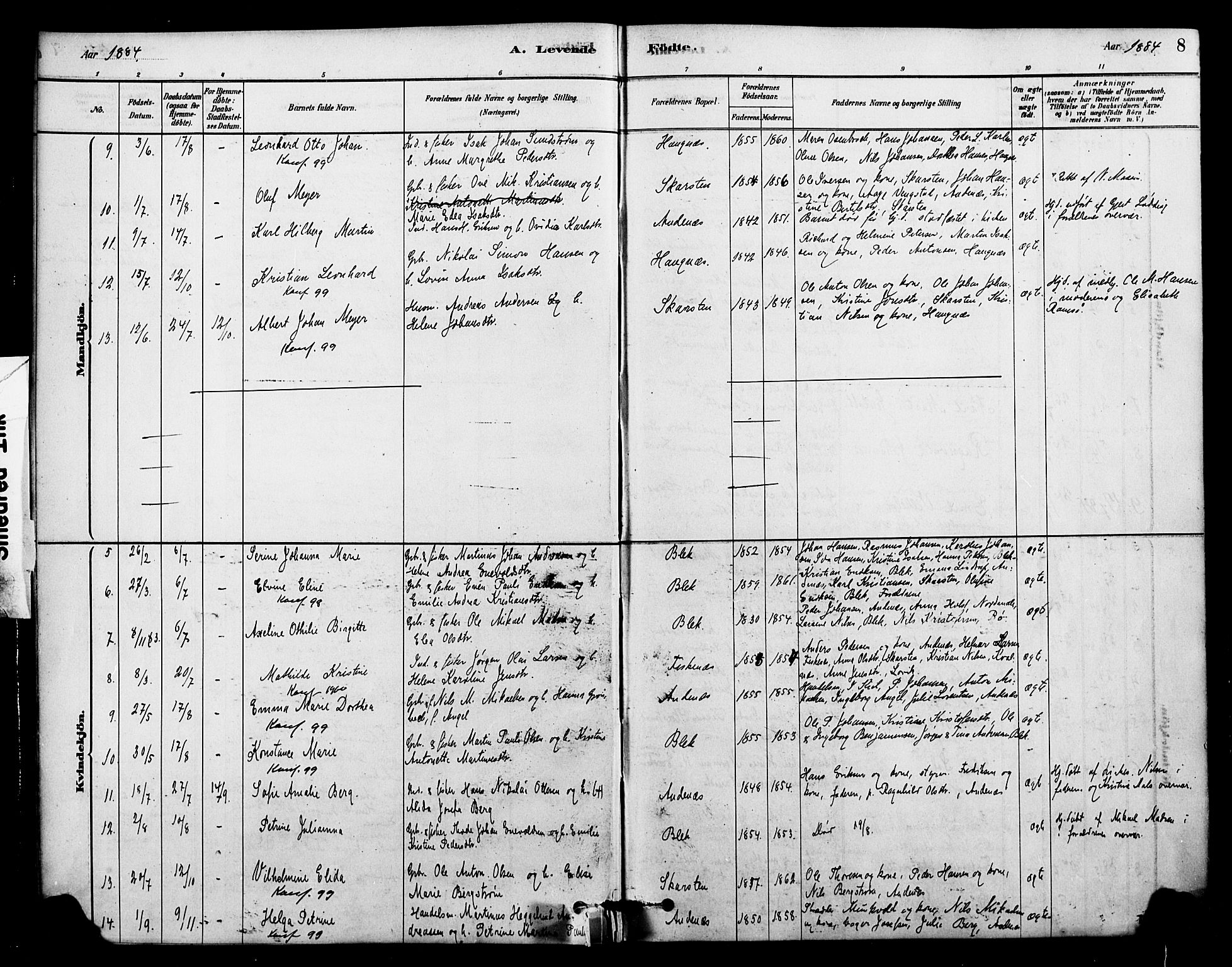 Ministerialprotokoller, klokkerbøker og fødselsregistre - Nordland, AV/SAT-A-1459/899/L1436: Parish register (official) no. 899A04, 1881-1896, p. 8