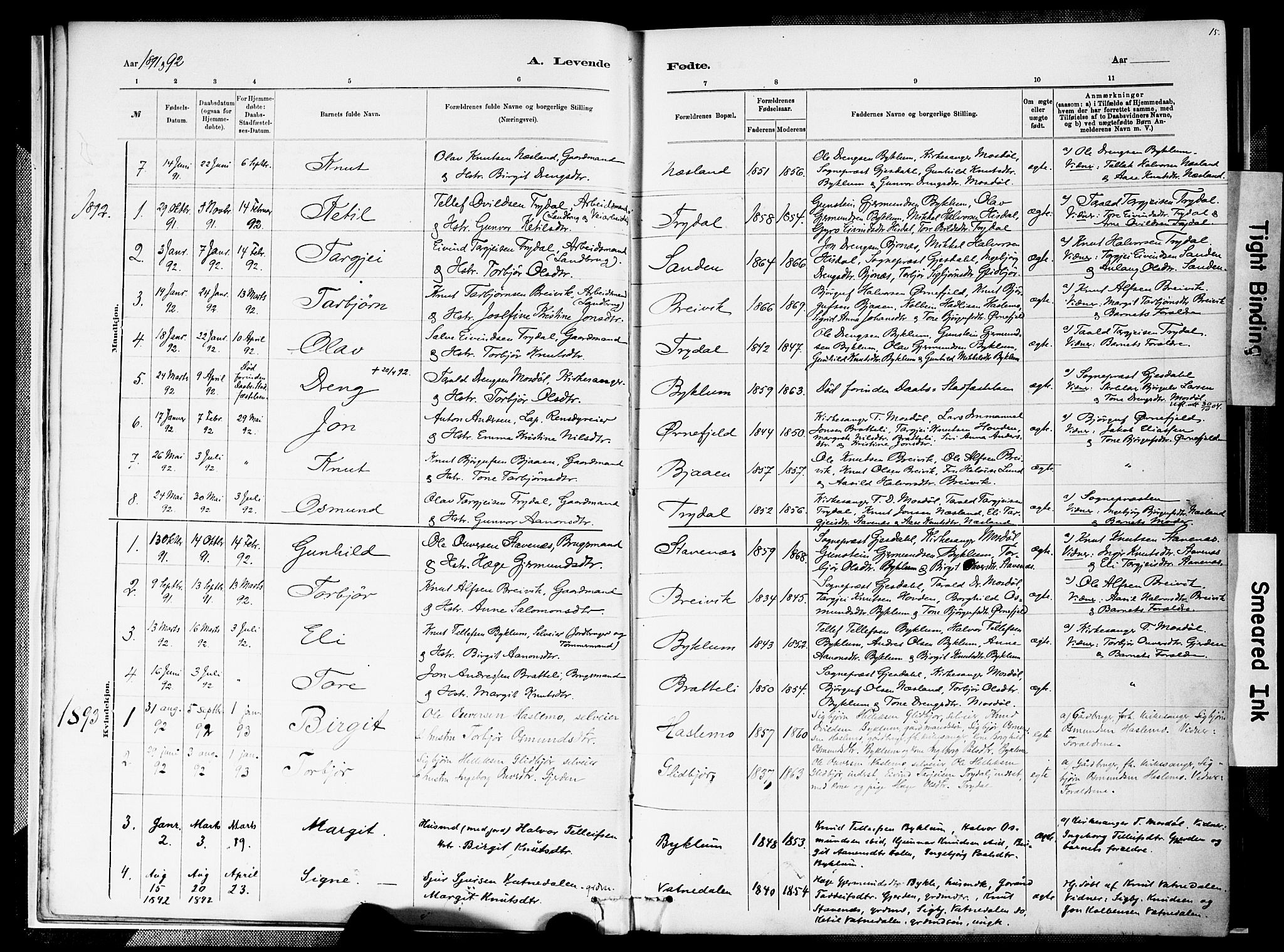 Valle sokneprestkontor, SAK/1111-0044/F/Fa/Faa/L0001: Parish register (official) no. A 1, 1882-1907, p. 16