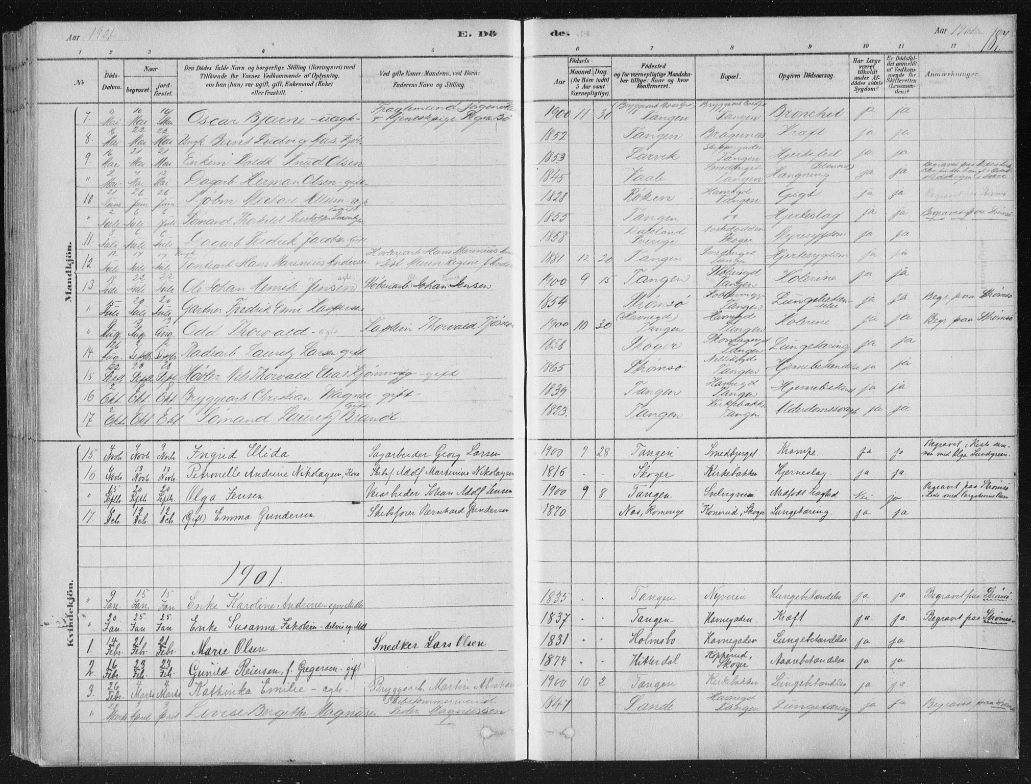 Strømsø kirkebøker, SAKO/A-246/F/Fb/L0005: Parish register (official) no. II 5, 1877-1902, p. 187