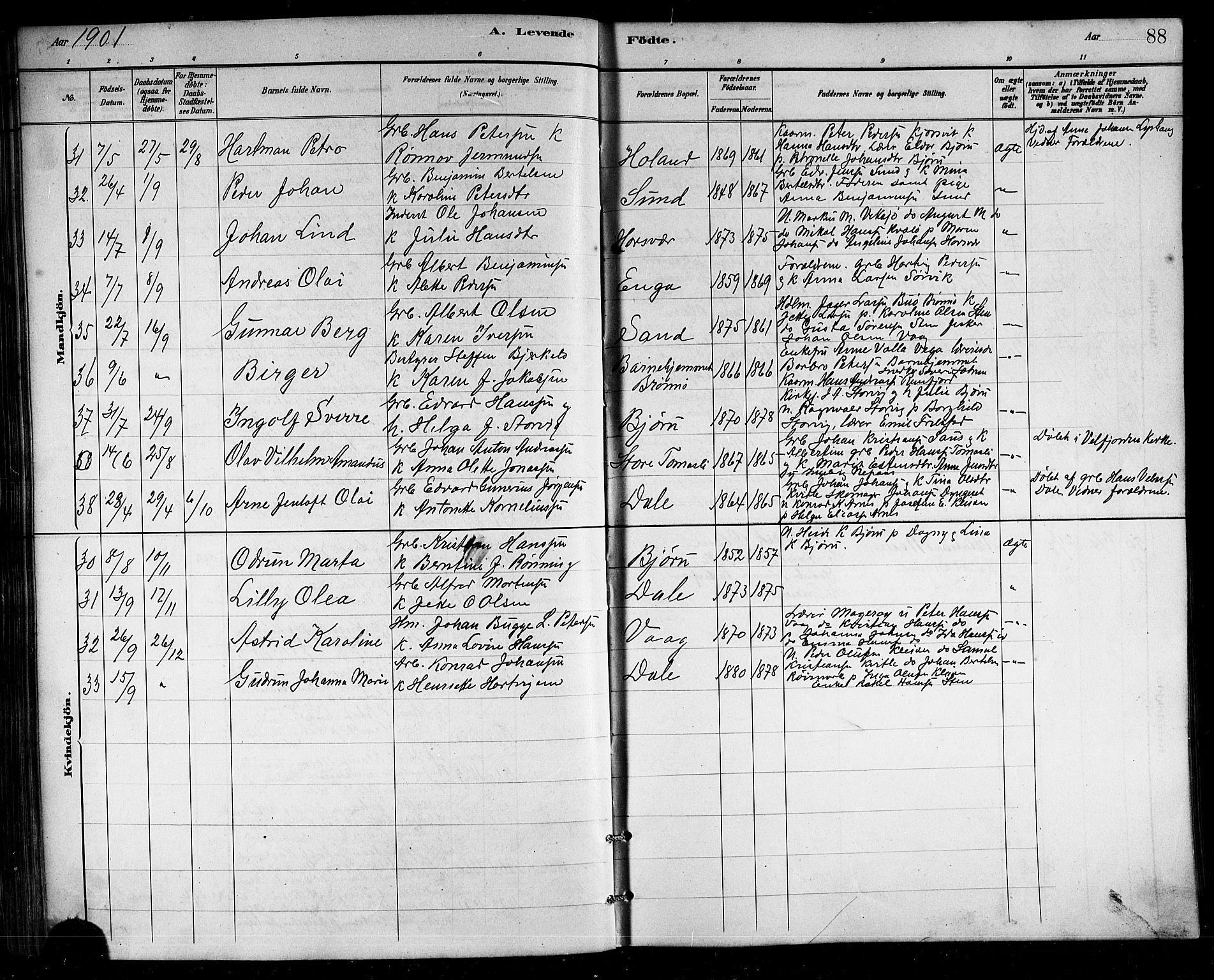 Ministerialprotokoller, klokkerbøker og fødselsregistre - Nordland, SAT/A-1459/812/L0188: Parish register (copy) no. 812C06, 1884-1912, p. 88