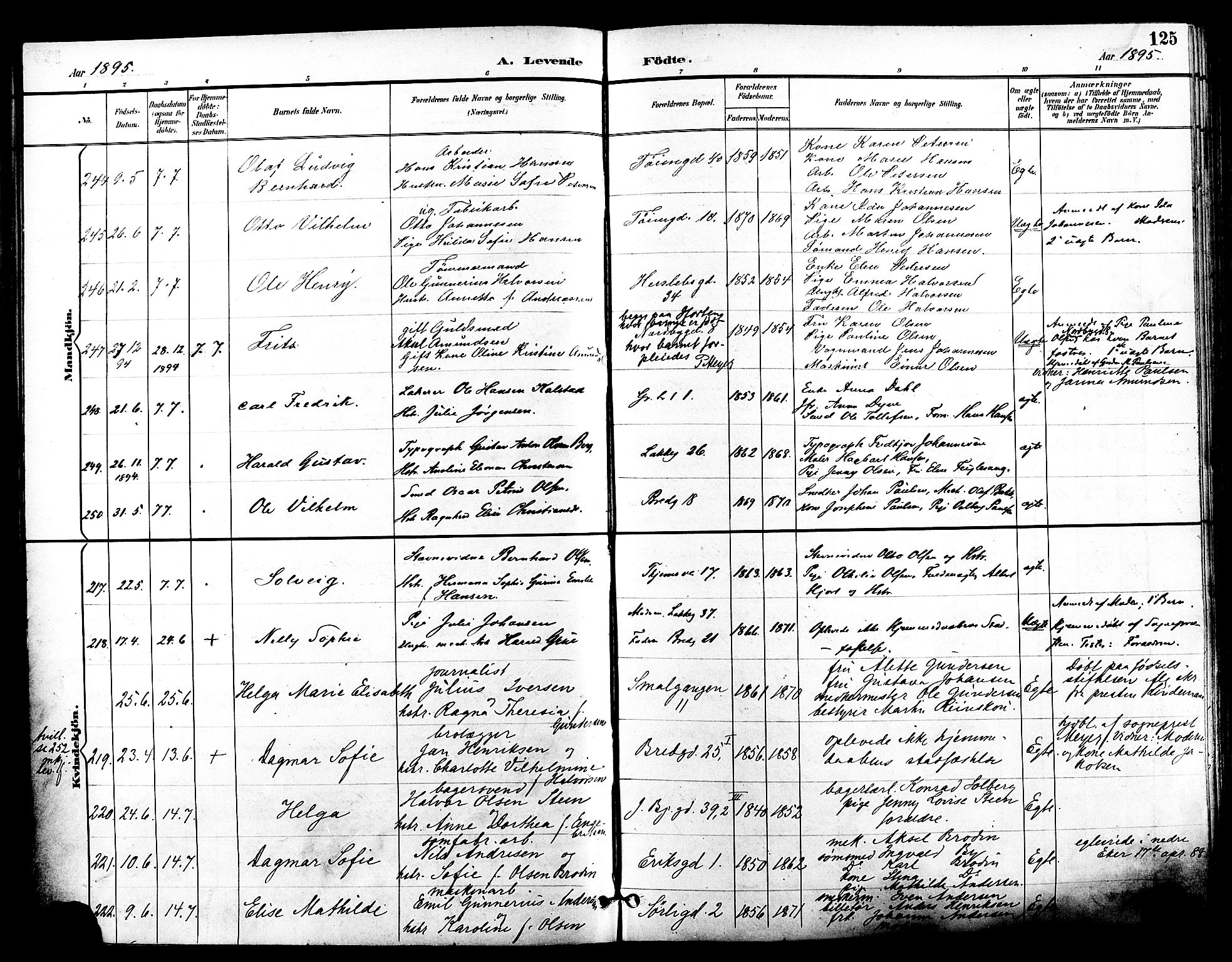 Grønland prestekontor Kirkebøker, SAO/A-10848/F/Fa/L0012: Parish register (official) no. 12, 1893-1900, p. 125