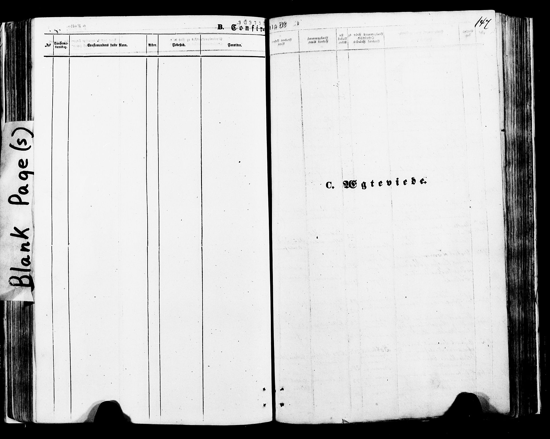 Ministerialprotokoller, klokkerbøker og fødselsregistre - Nordland, AV/SAT-A-1459/897/L1397: Parish register (official) no. 897A05 /1, 1867-1880, p. 147