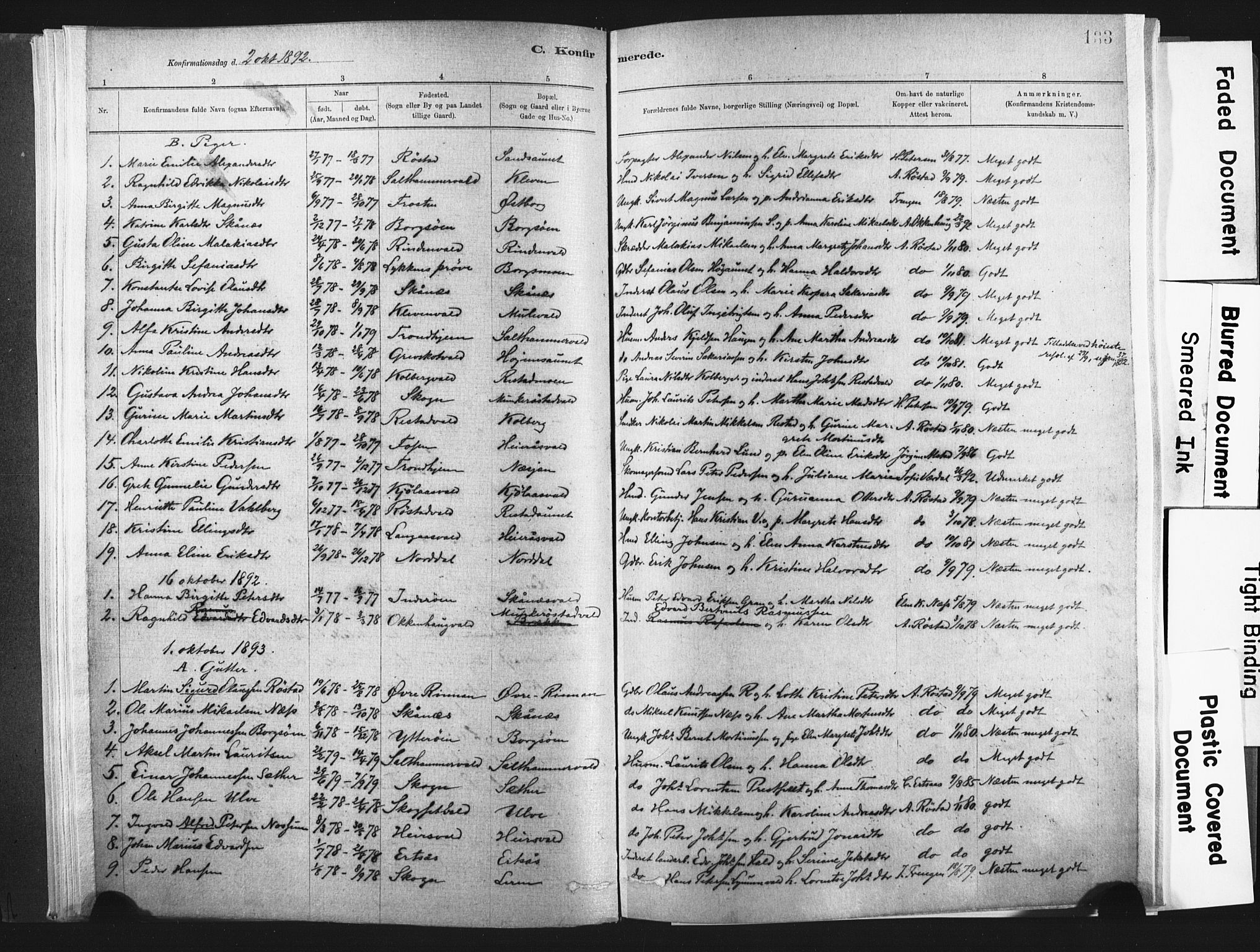 Ministerialprotokoller, klokkerbøker og fødselsregistre - Nord-Trøndelag, SAT/A-1458/721/L0207: Parish register (official) no. 721A02, 1880-1911, p. 133