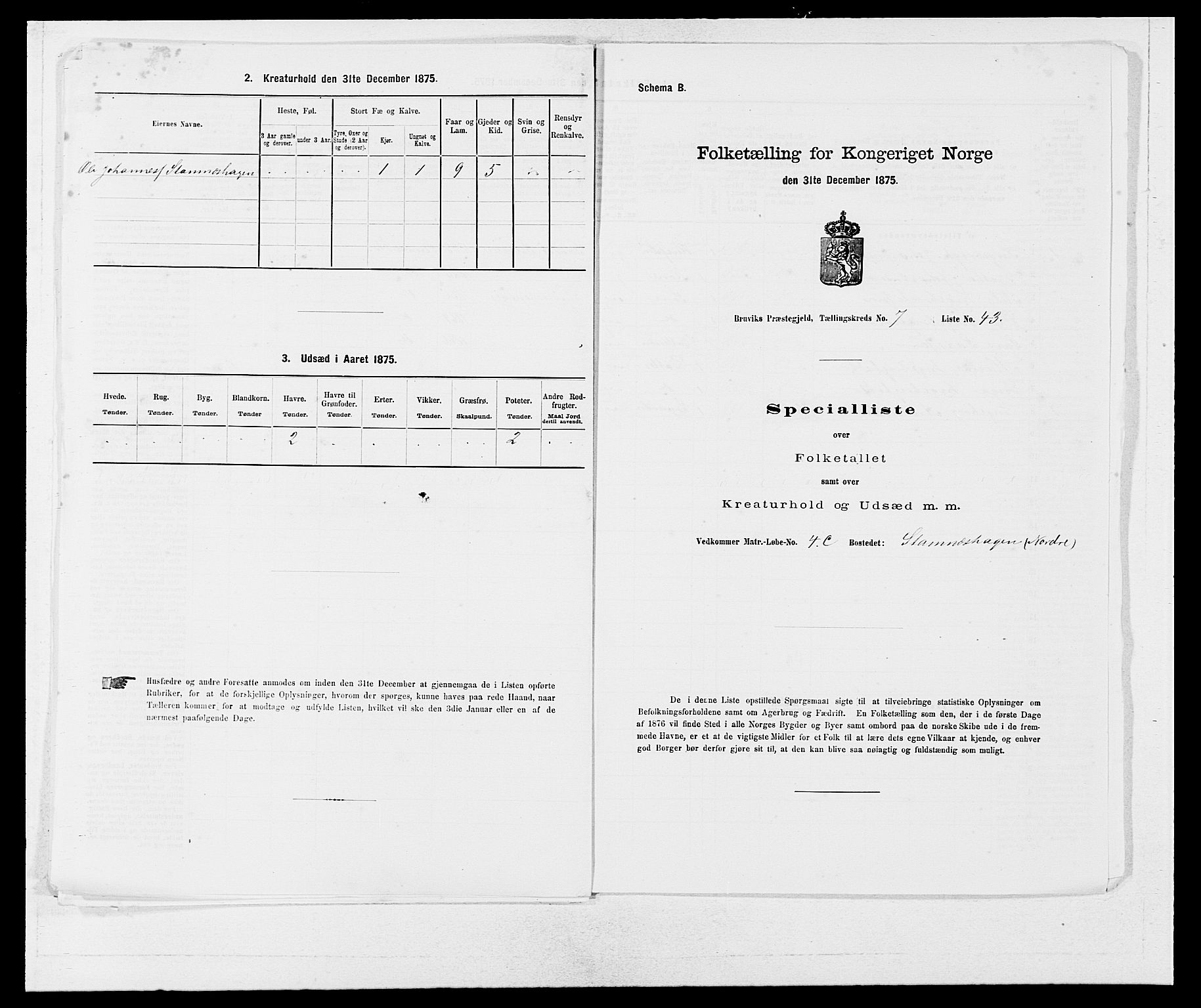 SAB, 1875 census for 1251P Bruvik, 1875, p. 575