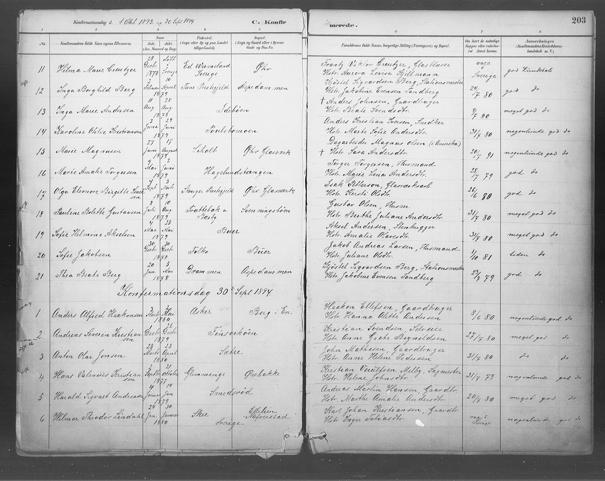 Idd prestekontor Kirkebøker, SAO/A-10911/F/Fb/L0002: Parish register (official) no. II 2, 1882-1923, p. 203