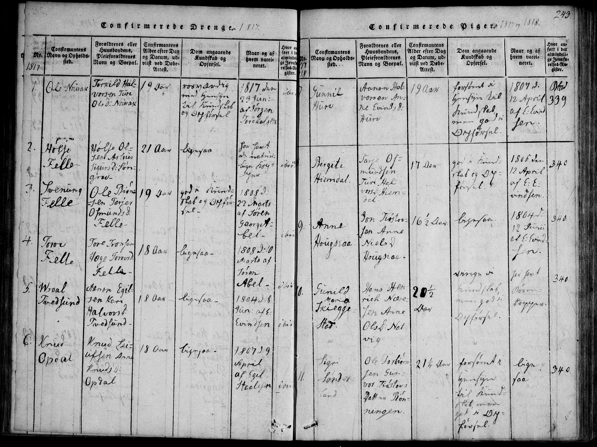 Nissedal kirkebøker, SAKO/A-288/F/Fb/L0001: Parish register (official) no. II 1, 1814-1845, p. 243