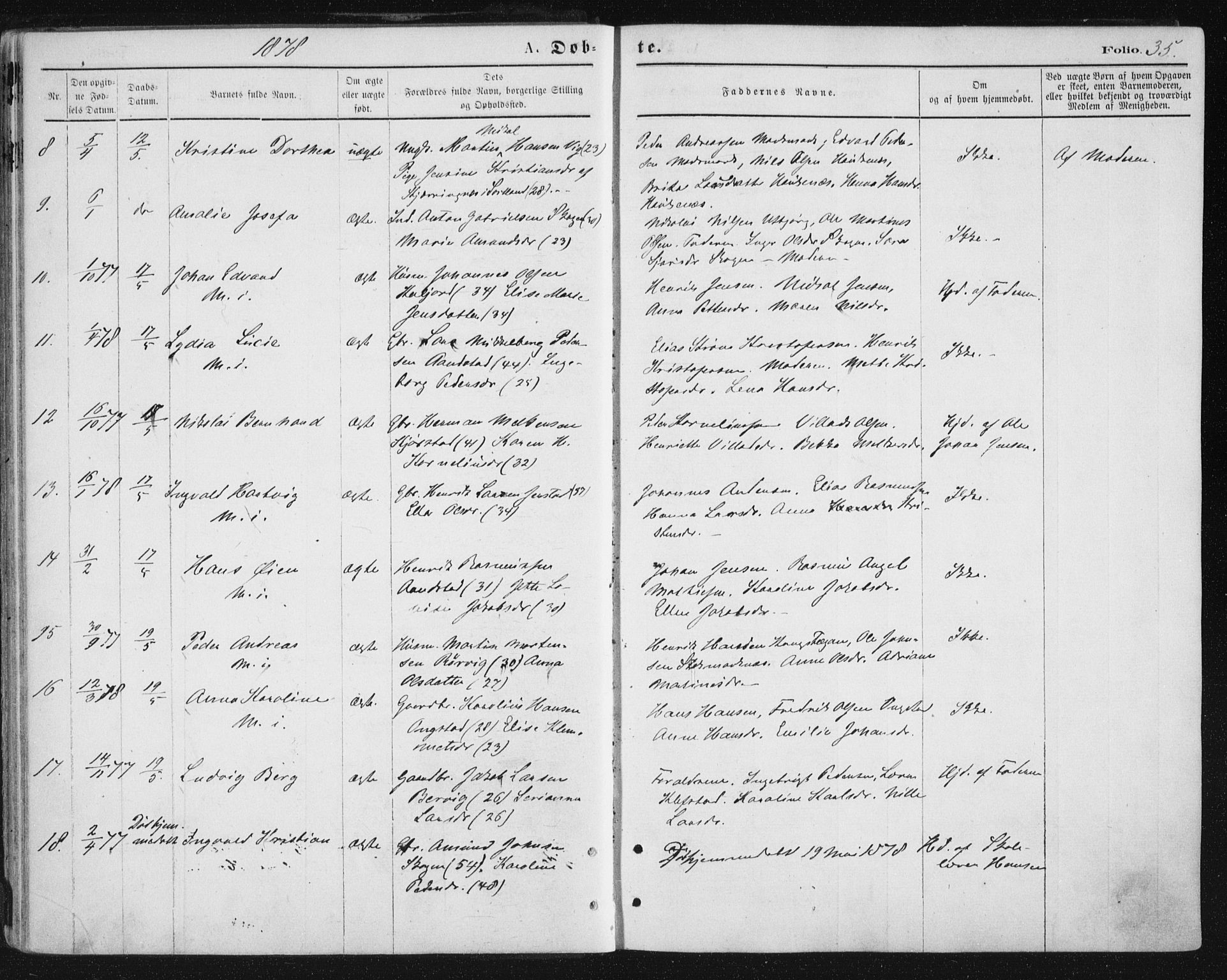 Ministerialprotokoller, klokkerbøker og fødselsregistre - Nordland, AV/SAT-A-1459/888/L1243: Parish register (official) no. 888A09, 1876-1879, p. 35