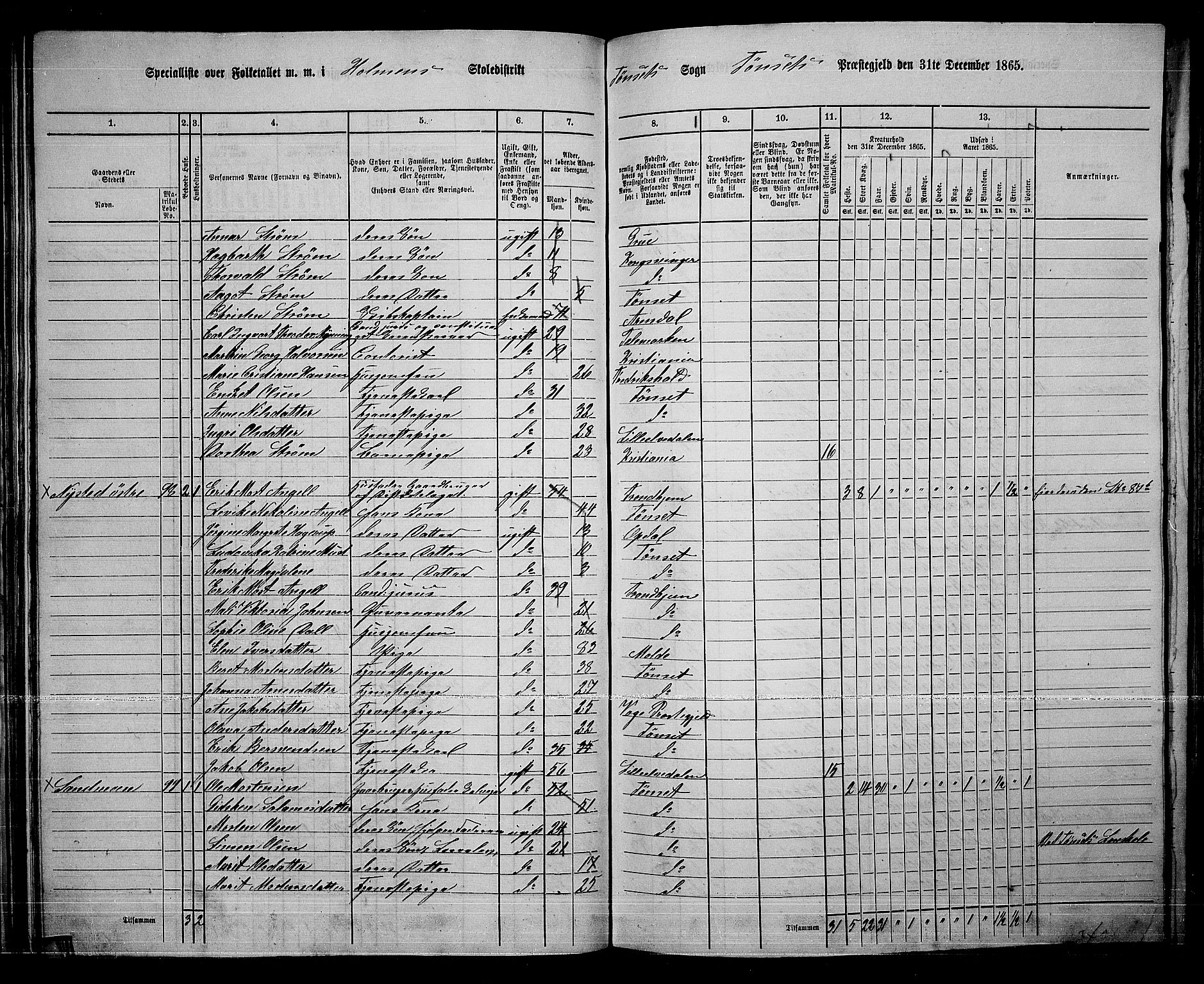 RA, 1865 census for Tynset, 1865, p. 52