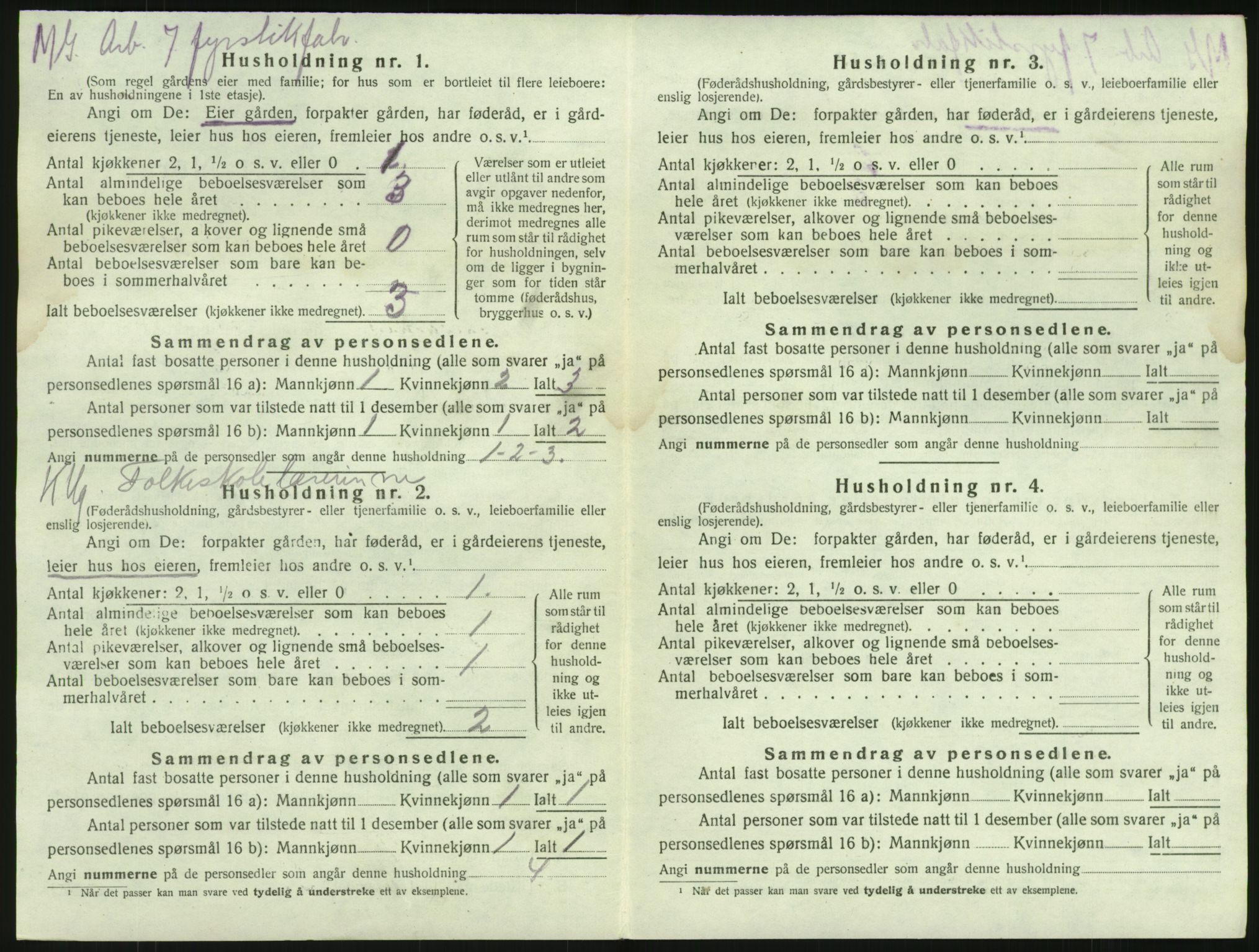 SAKO, 1920 census for Brunlanes, 1920, p. 502