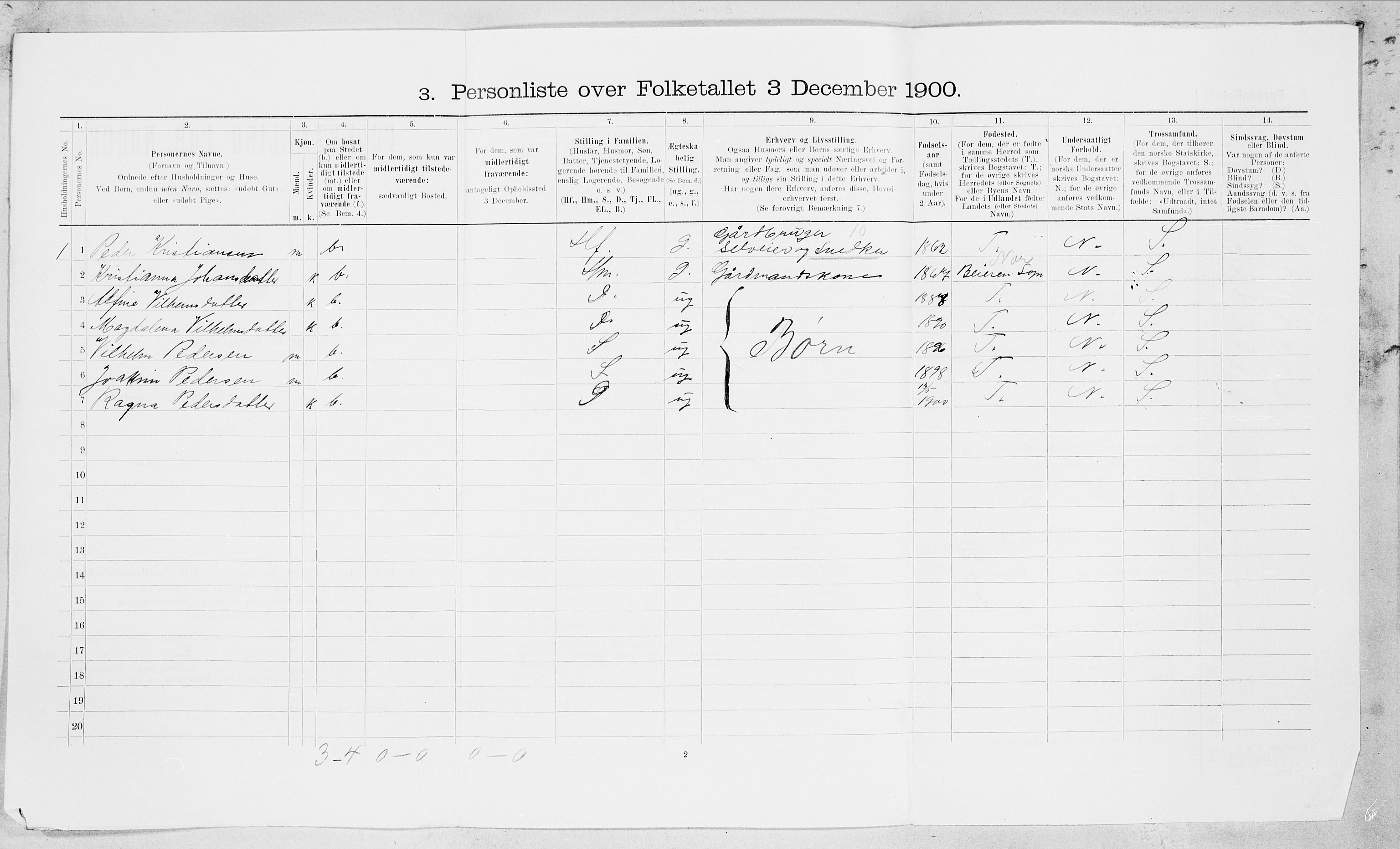 SAT, 1900 census for Bodin, 1900, p. 1205