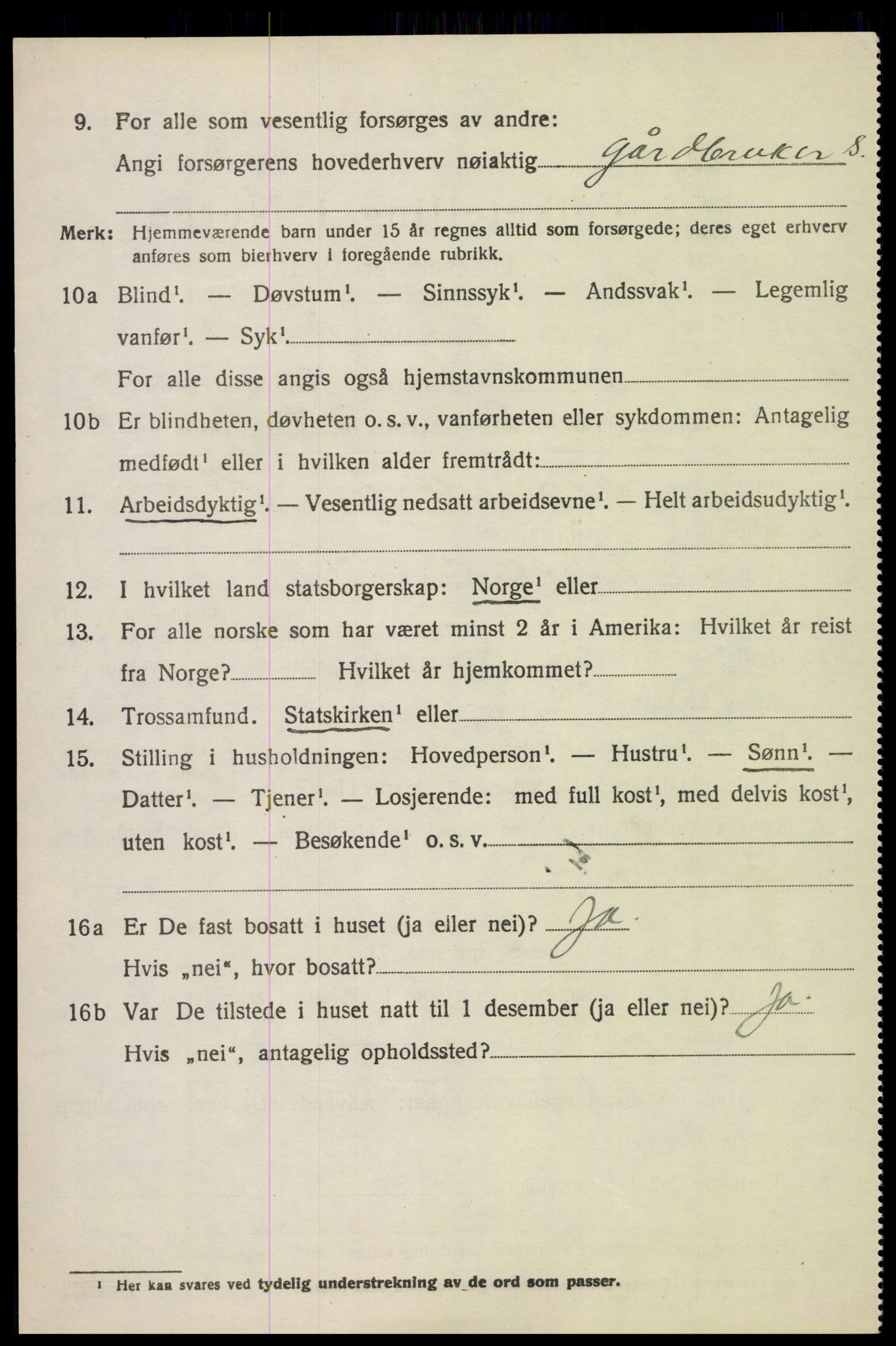 SAH, 1920 census for Lom, 1920, p. 2599