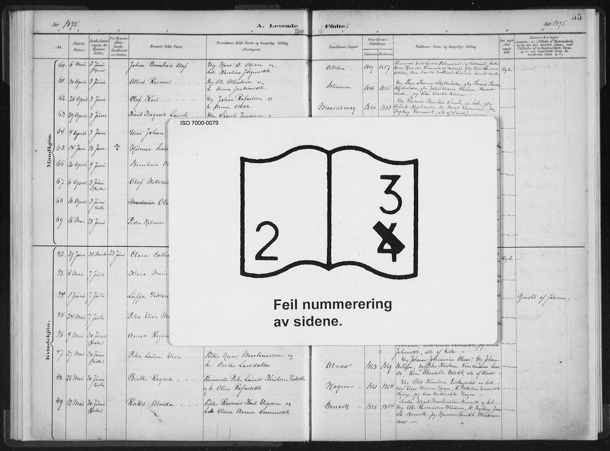 Ministerialprotokoller, klokkerbøker og fødselsregistre - Møre og Romsdal, AV/SAT-A-1454/528/L0405: Parish register (official) no. 528A14, 1891-1906, p. 55