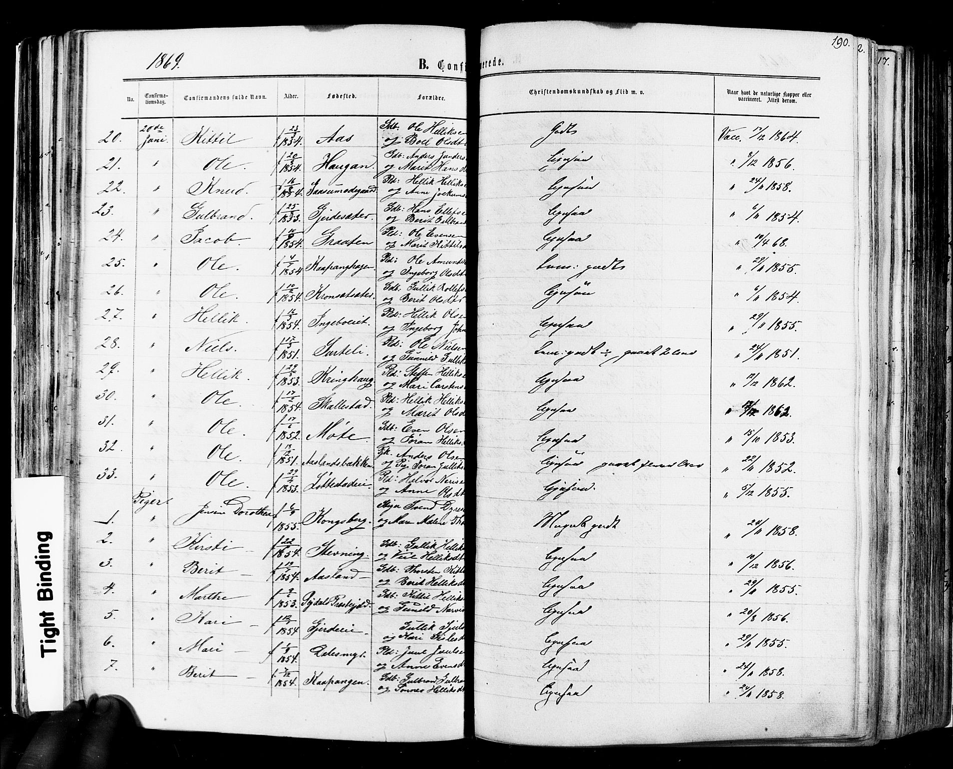 Flesberg kirkebøker, SAKO/A-18/F/Fa/L0007: Parish register (official) no. I 7, 1861-1878, p. 190