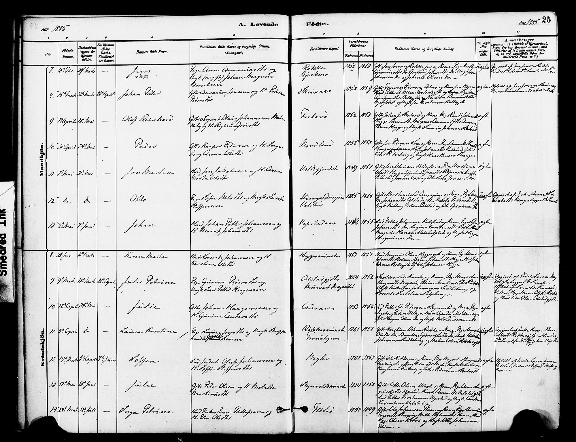 Ministerialprotokoller, klokkerbøker og fødselsregistre - Nord-Trøndelag, SAT/A-1458/712/L0100: Parish register (official) no. 712A01, 1880-1900, p. 25