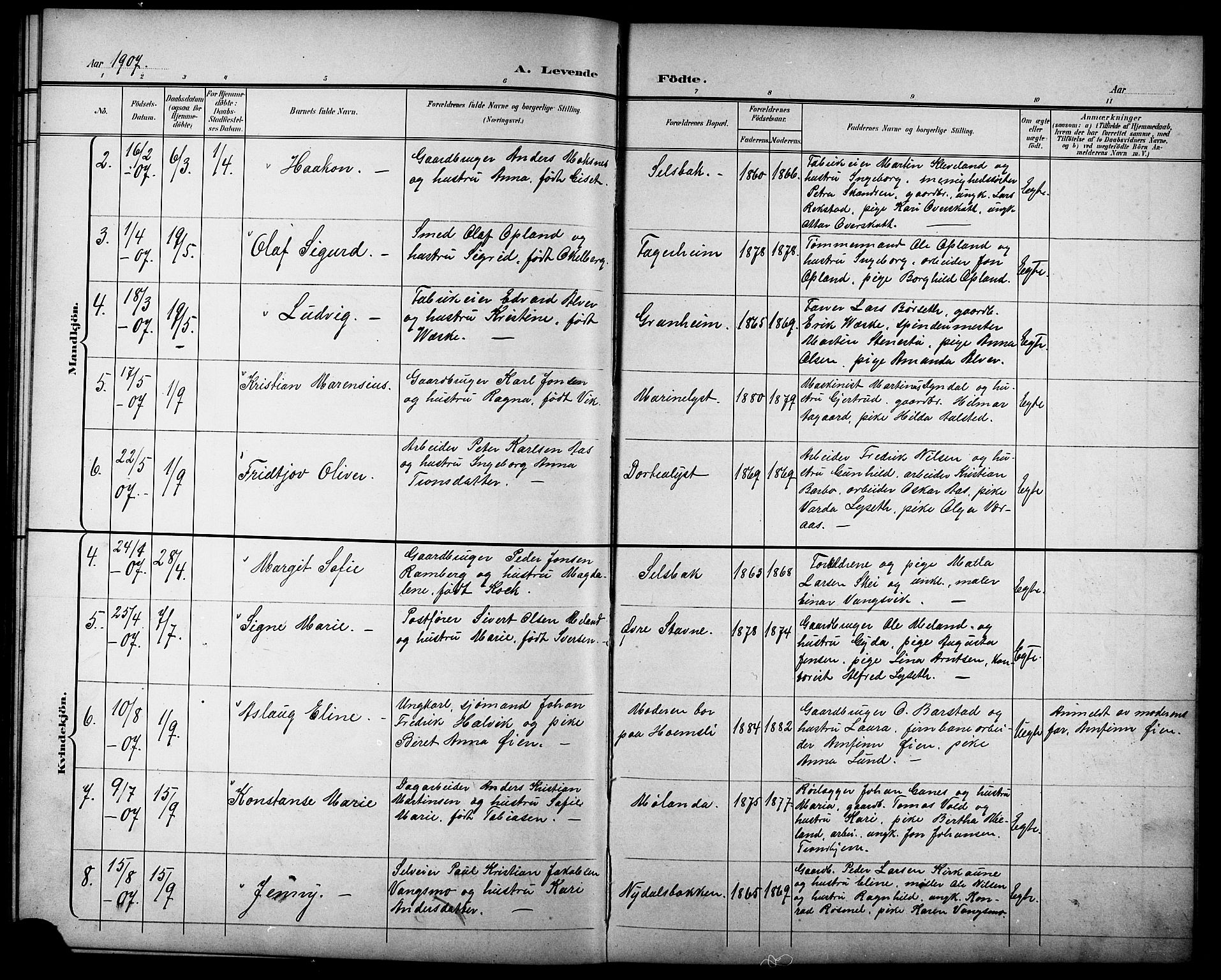 Ministerialprotokoller, klokkerbøker og fødselsregistre - Sør-Trøndelag, AV/SAT-A-1456/611/L0355: Parish register (copy) no. 611C03, 1897-1914
