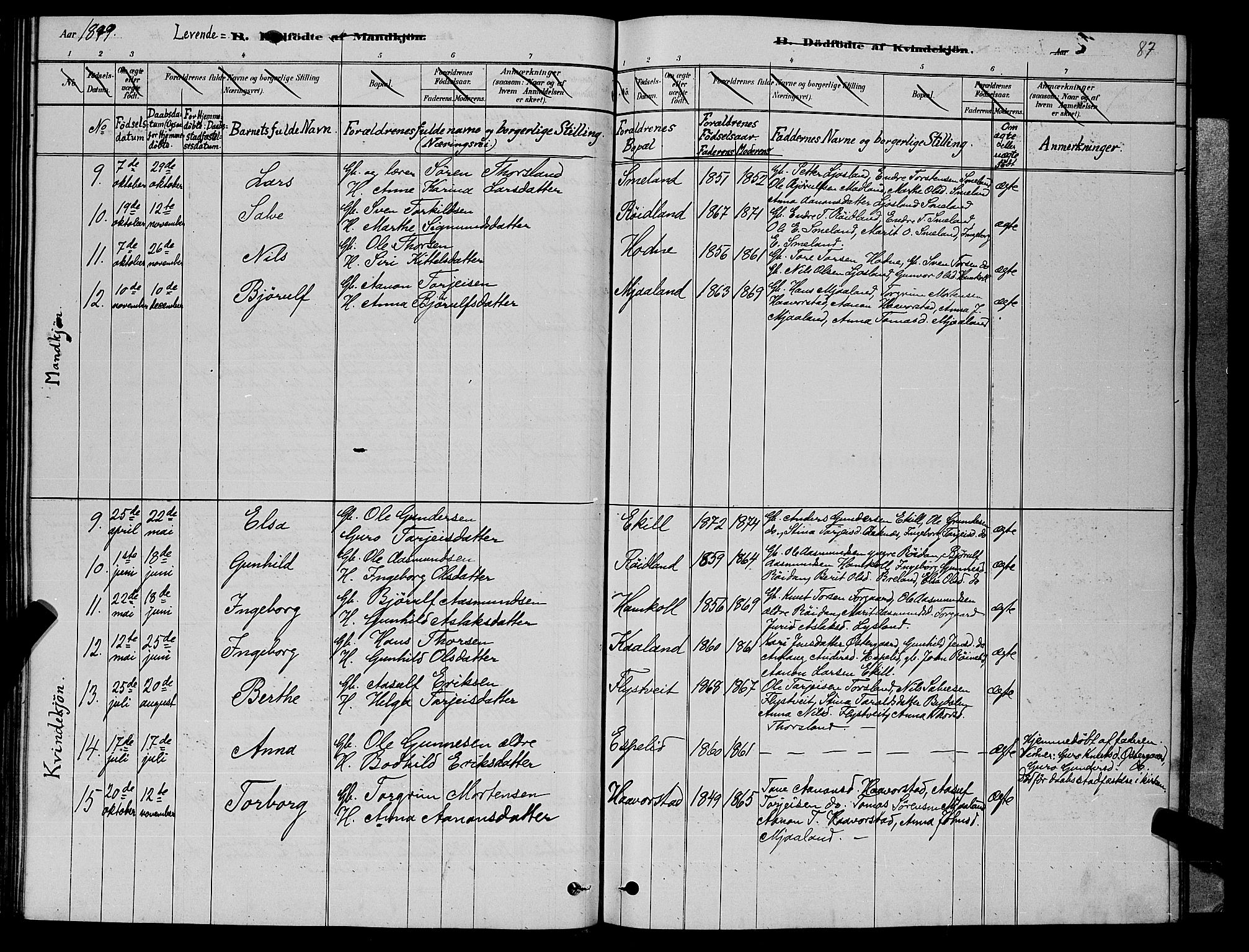 Åseral sokneprestkontor, SAK/1111-0051/F/Fb/L0002: Parish register (copy) no. B 2, 1878-1899, p. 87