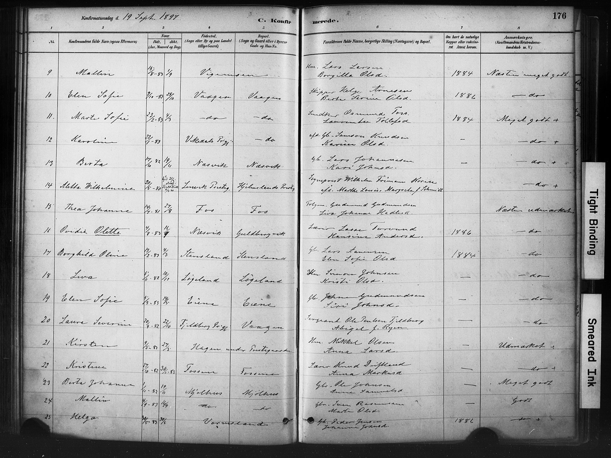 Hjelmeland sokneprestkontor, AV/SAST-A-101843/01/IV/L0014: Parish register (official) no. A 14, 1879-1900, p. 176