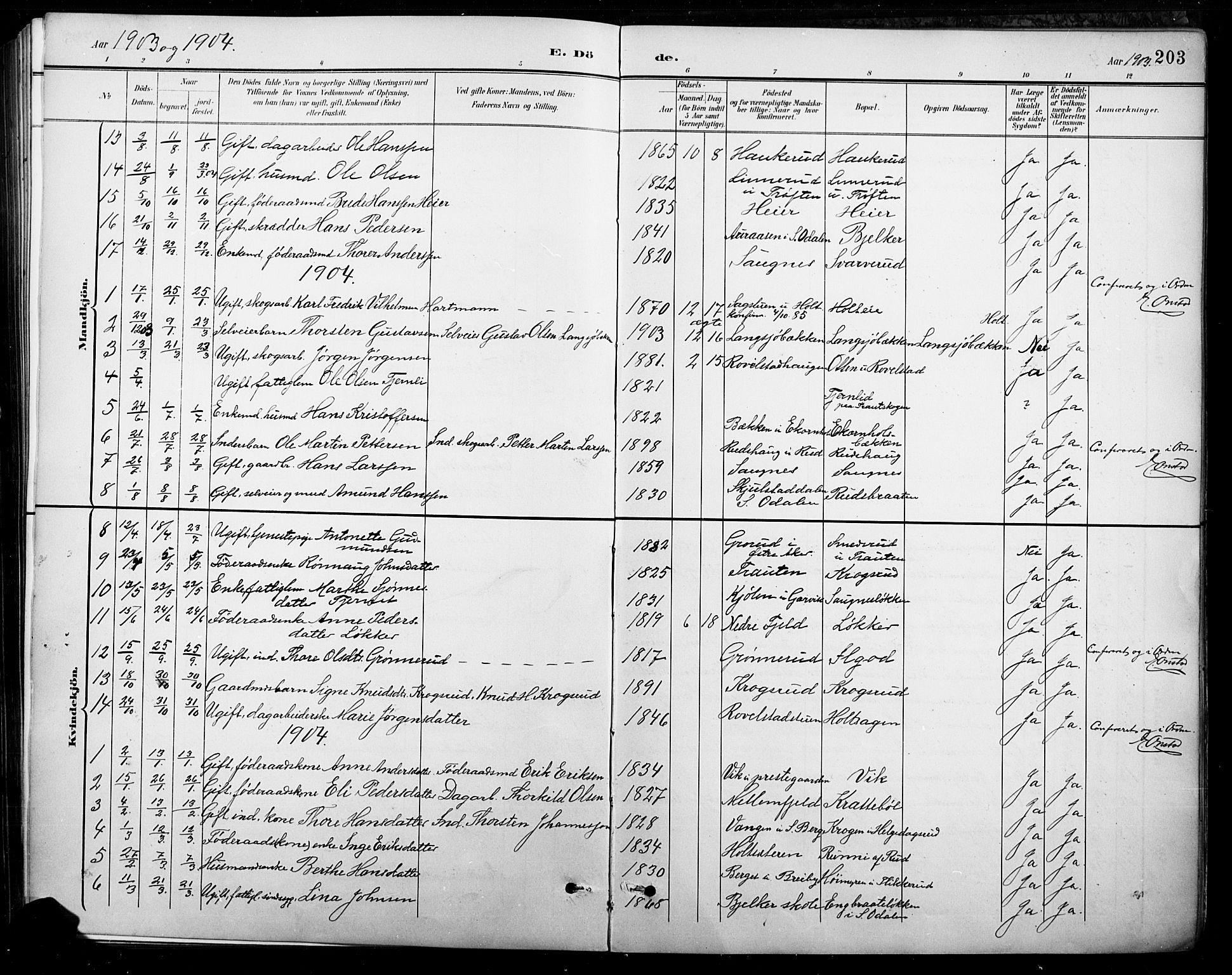 Nord-Odal prestekontor, AV/SAH-PREST-032/H/Ha/Hab/L0003: Parish register (copy) no. 3, 1895-1923, p. 203