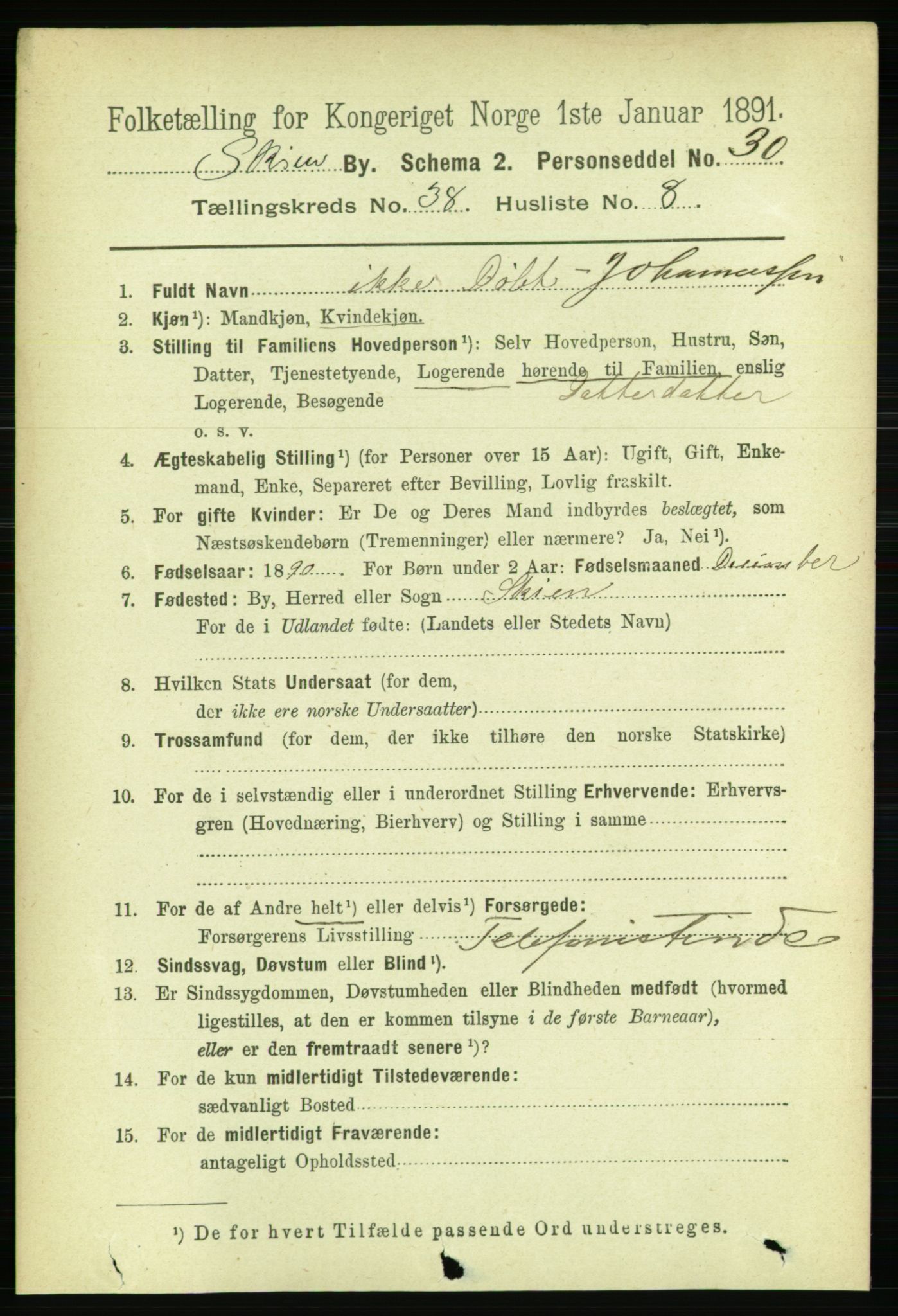 RA, 1891 census for 0806 Skien, 1891, p. 8208