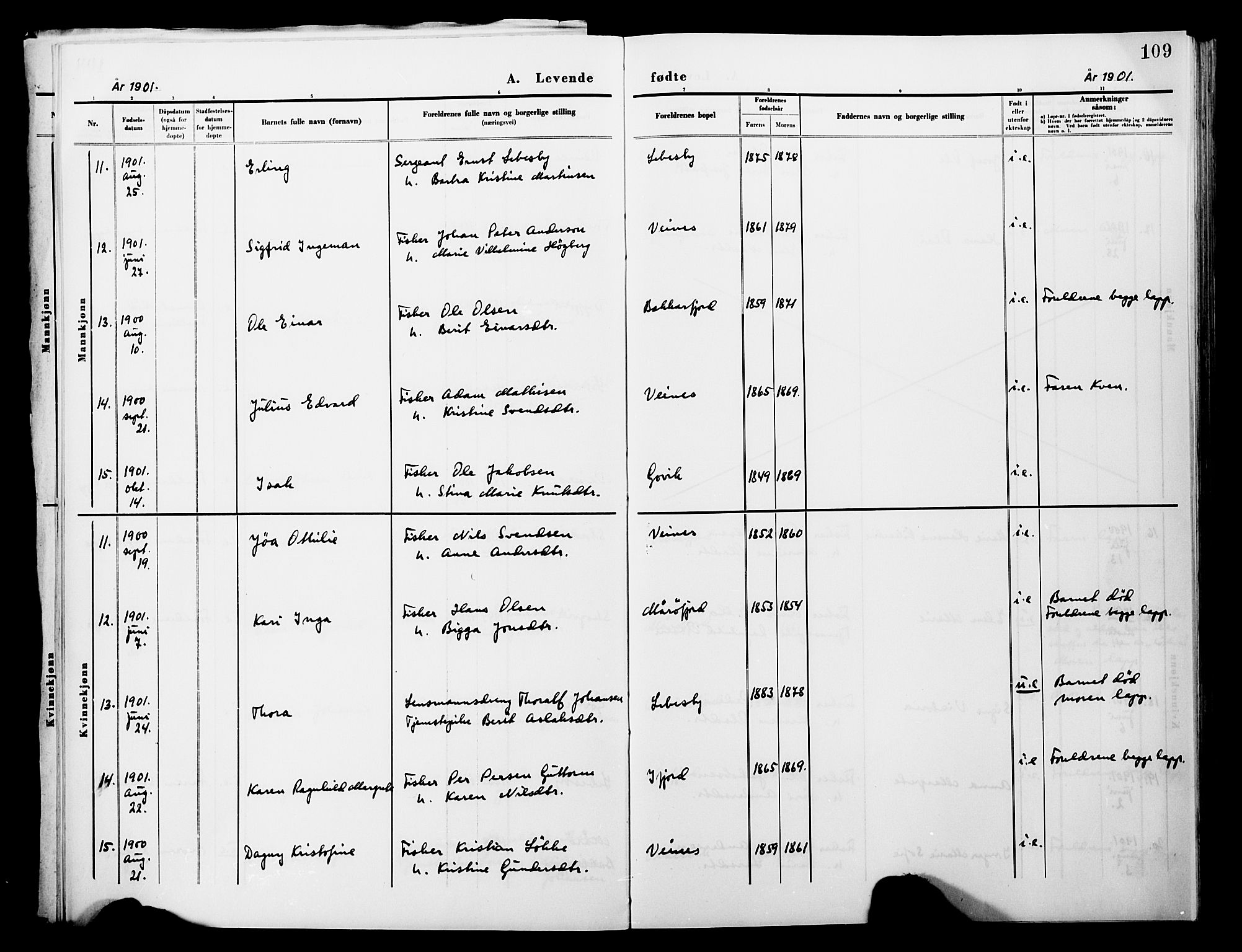 Lebesby sokneprestkontor, AV/SATØ-S-1353/H/Ha/L0004kirke: Parish register (official) no. 4, 1870-1902, p. 109