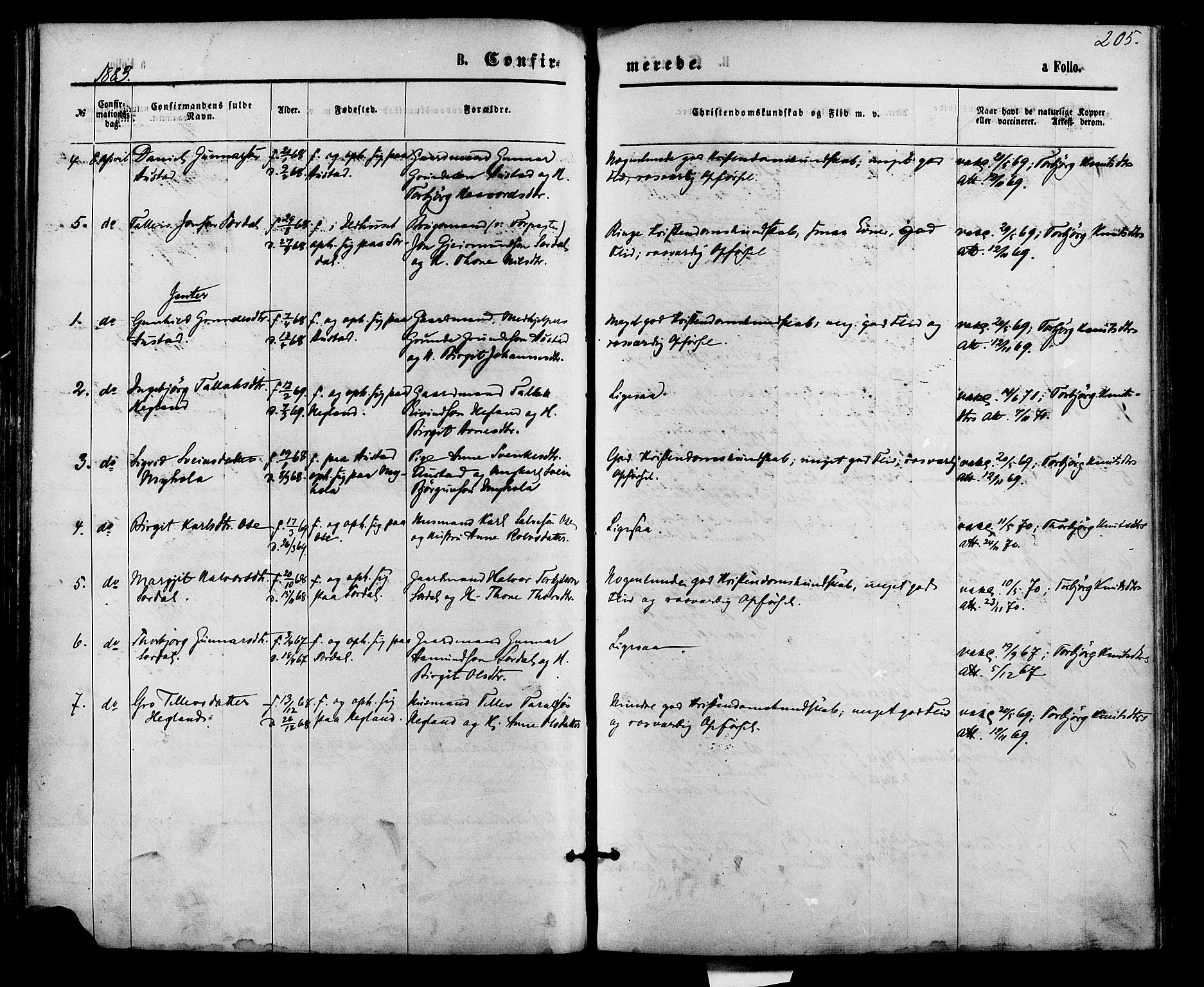 Bygland sokneprestkontor, AV/SAK-1111-0006/F/Fa/Fab/L0006: Parish register (official) no. A 6, 1873-1884, p. 205