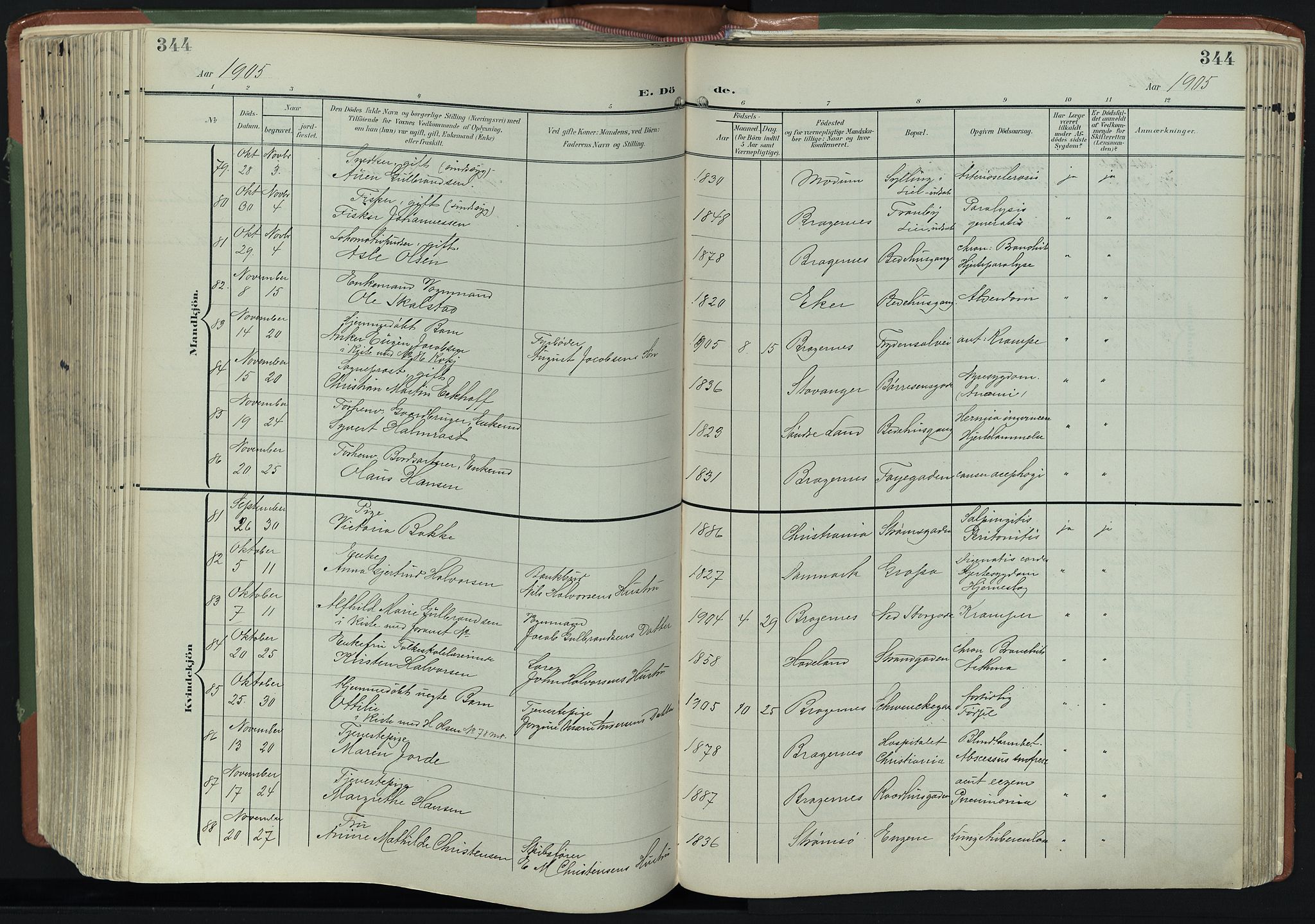 Bragernes kirkebøker, AV/SAKO-A-6/F/Fb/L0009: Parish register (official) no. II 9, 1902-1911, p. 344