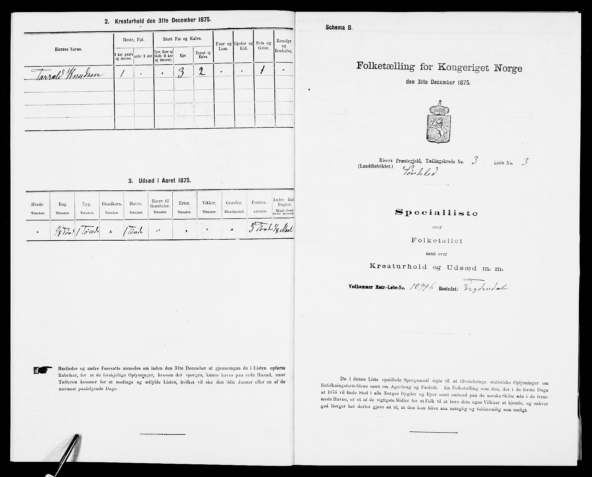 SAK, 1875 census for 0913L Risør/Søndeled, 1875, p. 378