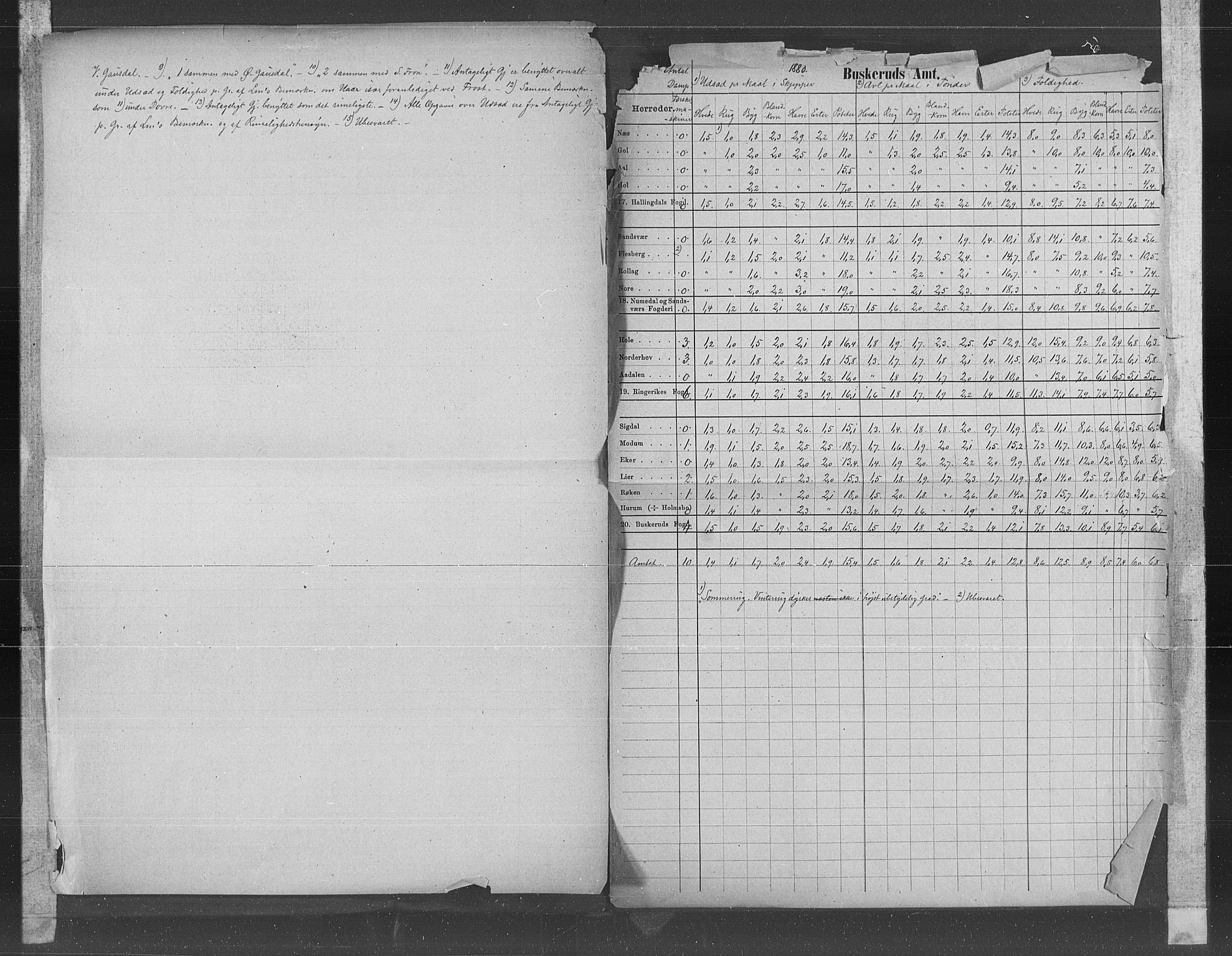 Statistisk sentralbyrå, Næringsøkonomiske emner, Generelt - Amtmennenes femårsberetninger, AV/RA-S-2233/F/Fa/L0057: --, 1876-1880, p. 10