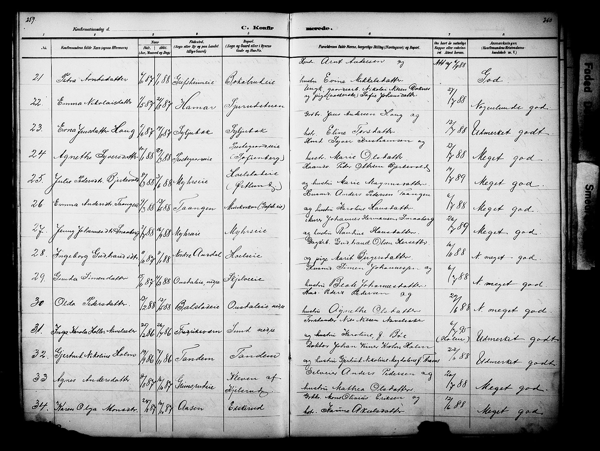 Nes prestekontor, Hedmark, SAH/PREST-020/L/La/L0006: Parish register (copy) no. 6, 1890-1932, p. 259-260