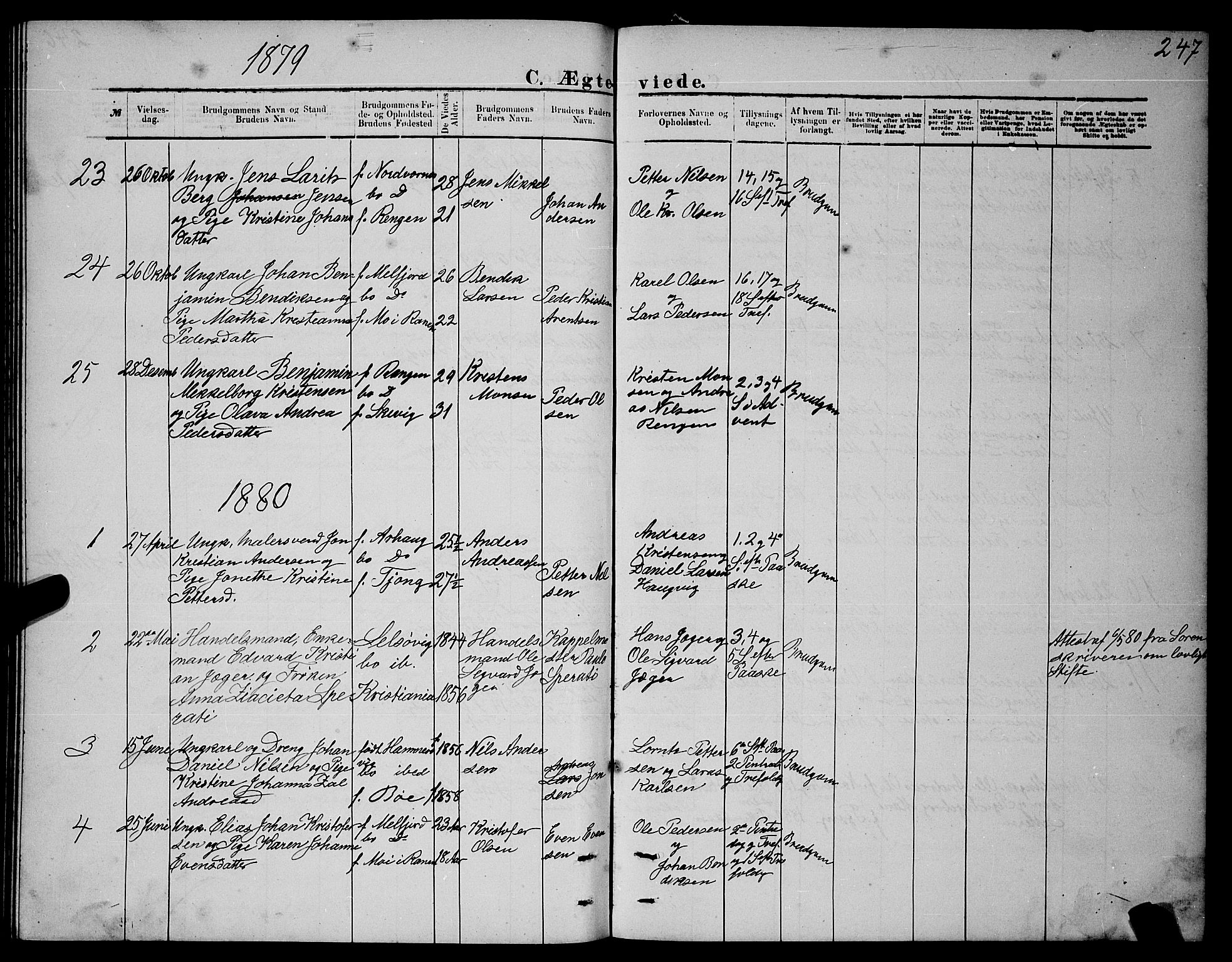 Ministerialprotokoller, klokkerbøker og fødselsregistre - Nordland, SAT/A-1459/841/L0620: Parish register (copy) no. 841C04, 1877-1896, p. 247
