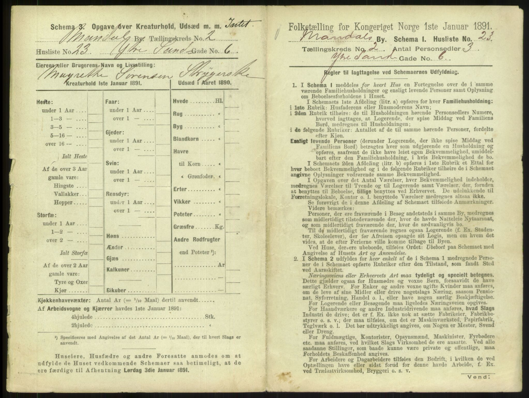 RA, 1891 census for 1002 Mandal, 1891, p. 159