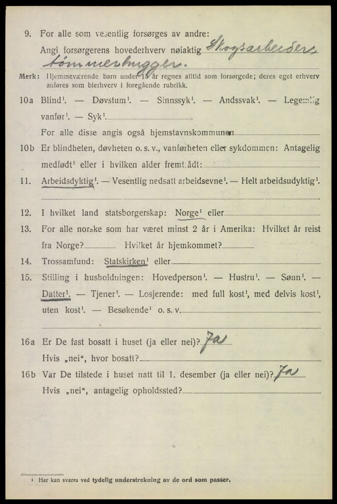 SAH, 1920 census for Elverum, 1920, p. 23313