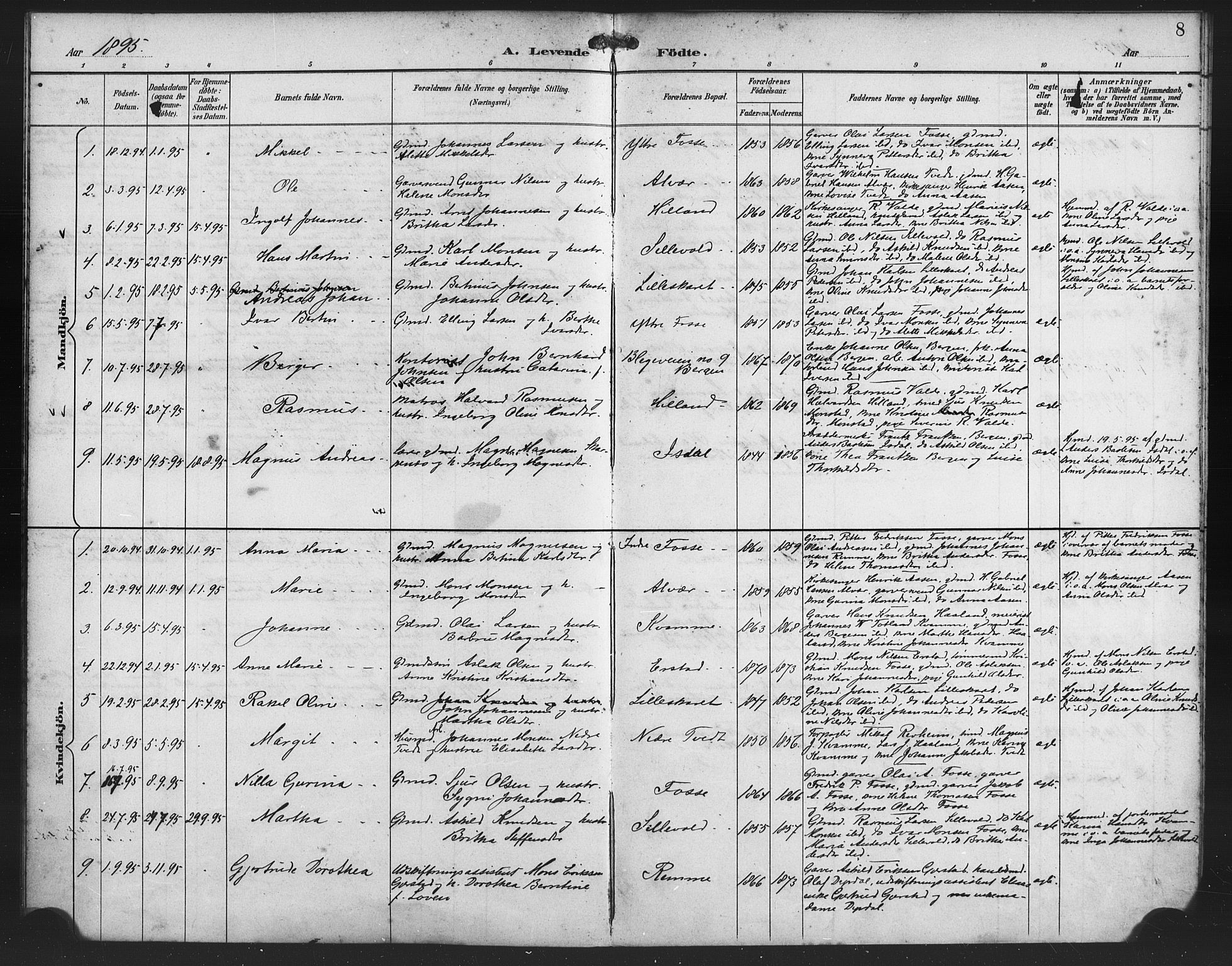 Alversund Sokneprestembete, SAB/A-73901/H/Ha/Haa/Haaa/L0002: Parish register (official) no. A 2, 1893-1896, p. 8