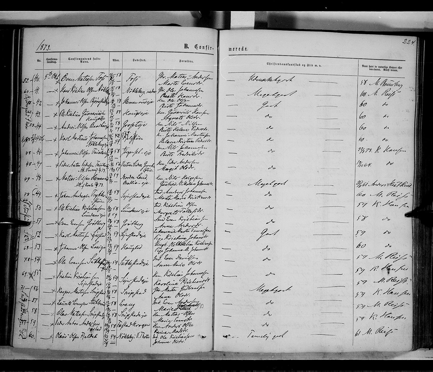 Østre Toten prestekontor, AV/SAH-PREST-104/H/Ha/Haa/L0005: Parish register (official) no. 5, 1866-1877, p. 224