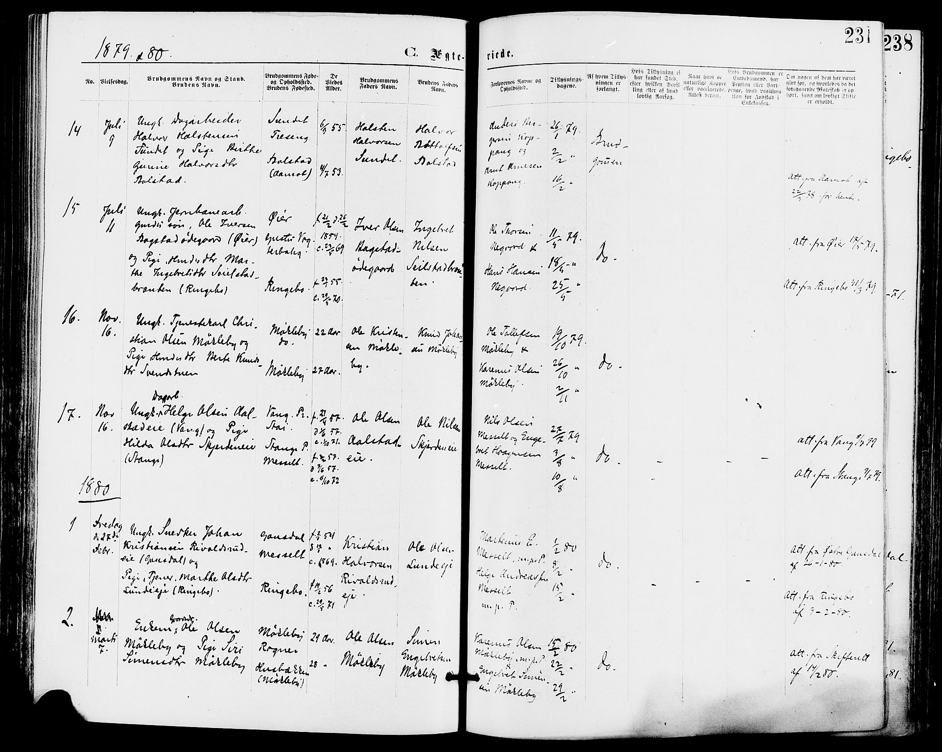 Stor-Elvdal prestekontor, AV/SAH-PREST-052/H/Ha/Haa/L0001: Parish register (official) no. 1, 1871-1882, p. 231