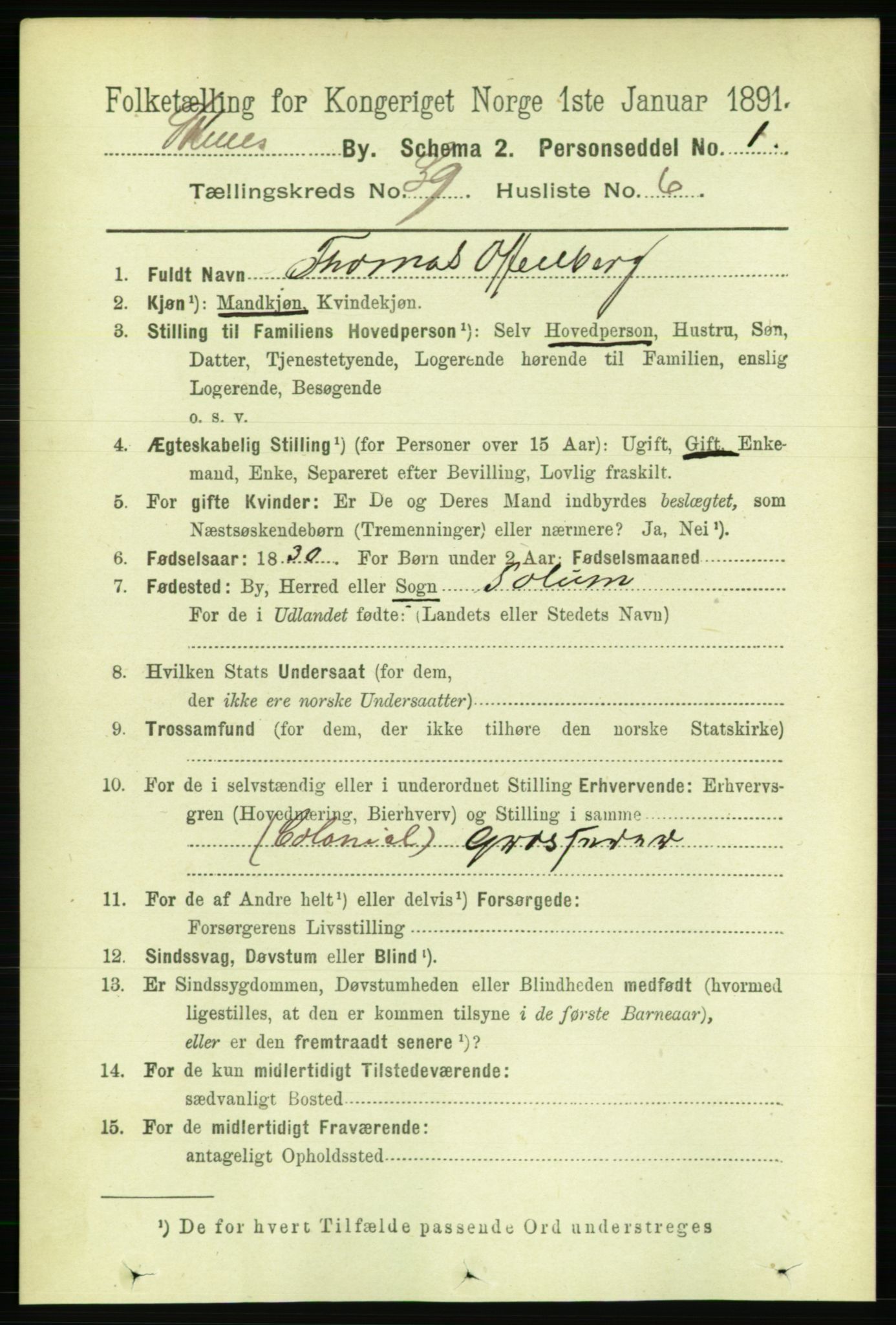 RA, 1891 census for 0806 Skien, 1891, p. 8284